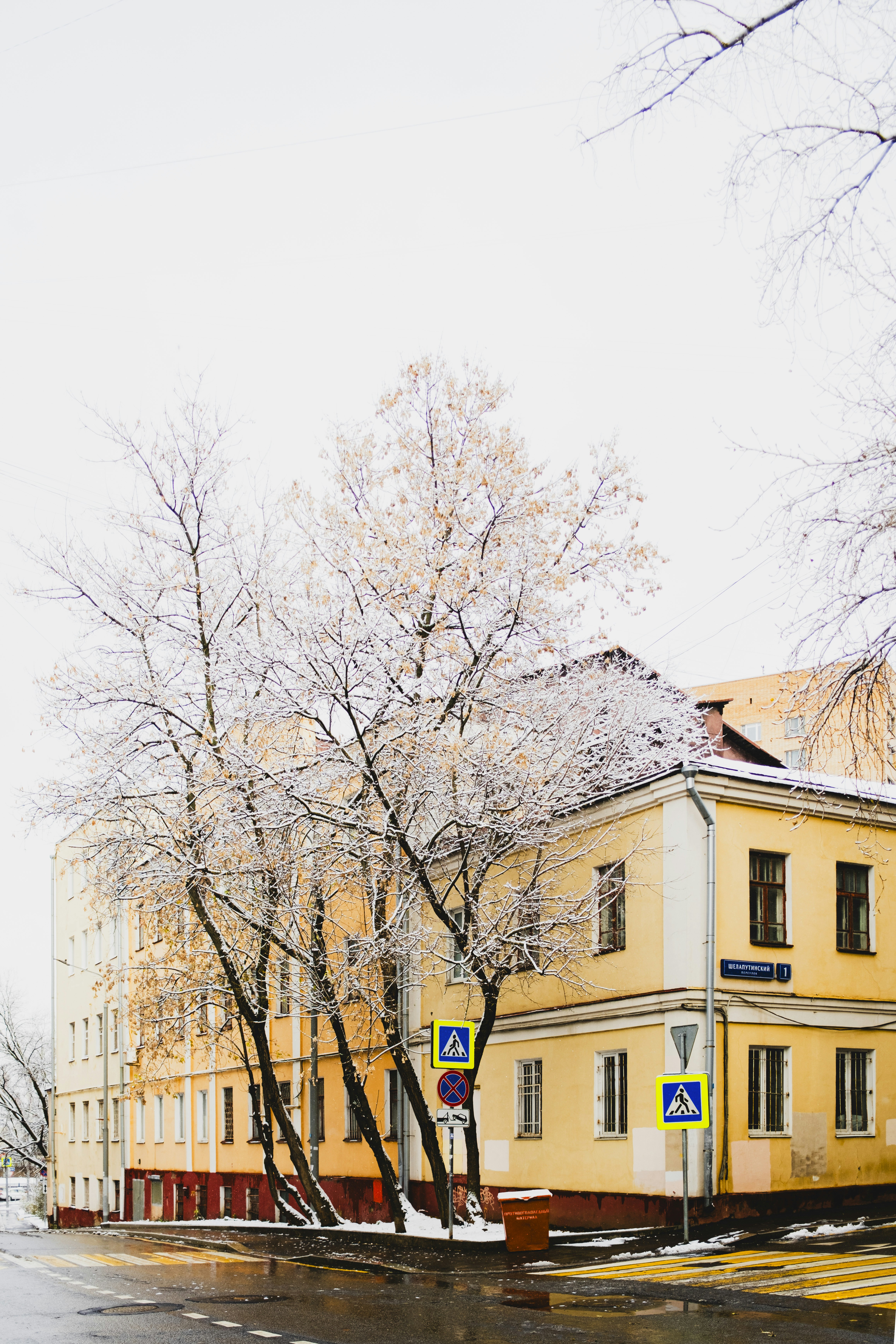 Photo by stef_enheart