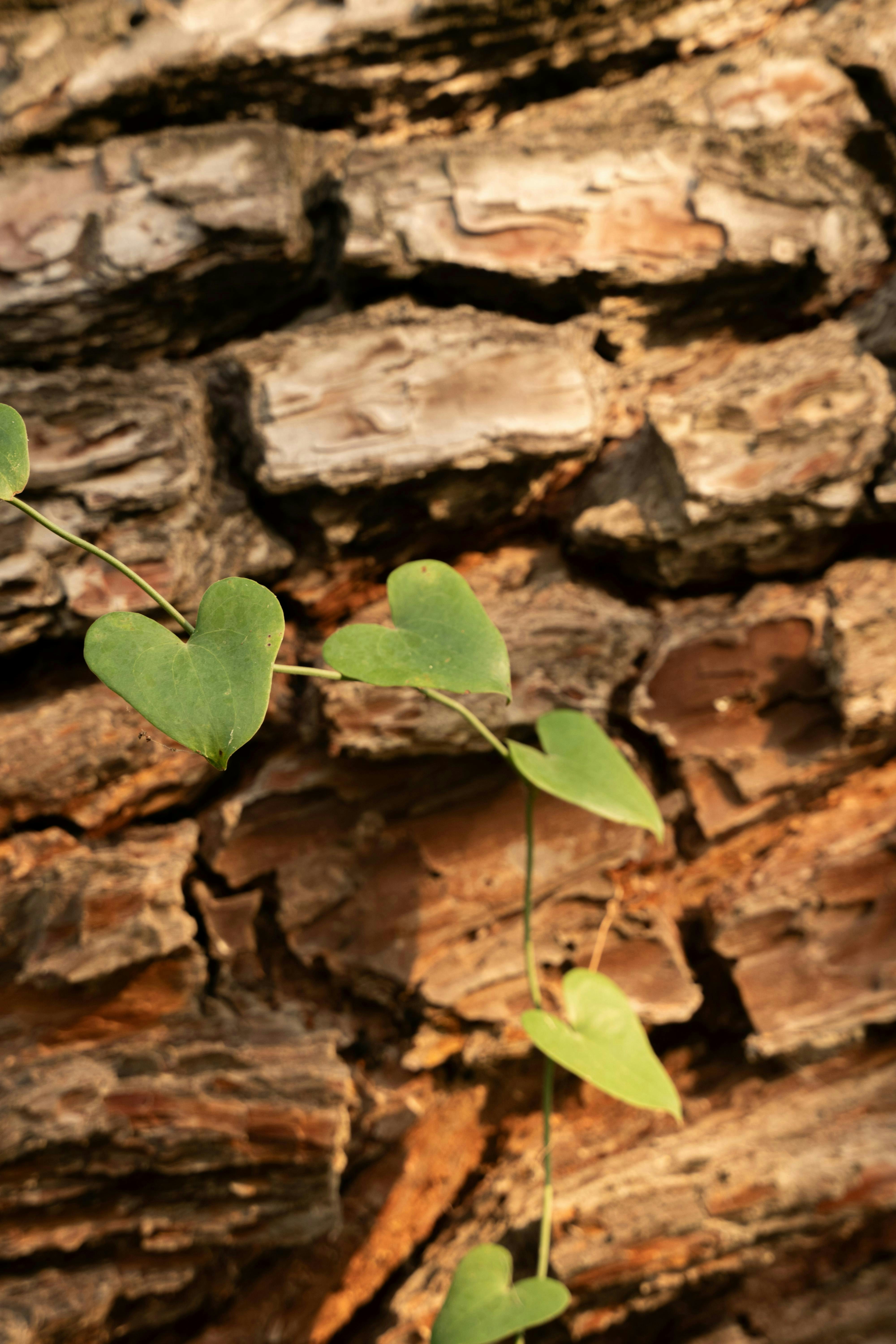 Photo by yarensphotoworks