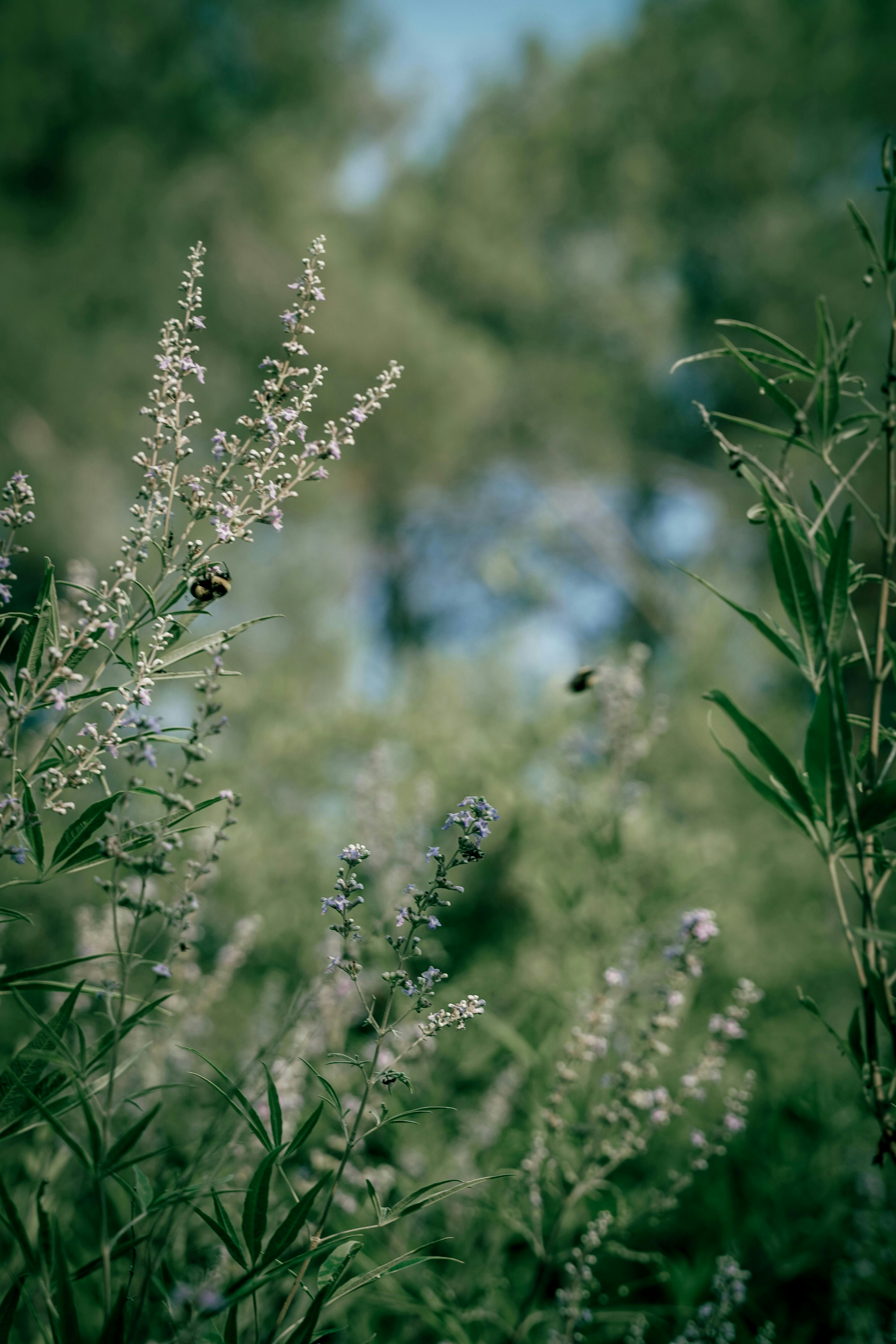 Photo by yarensphotoworks