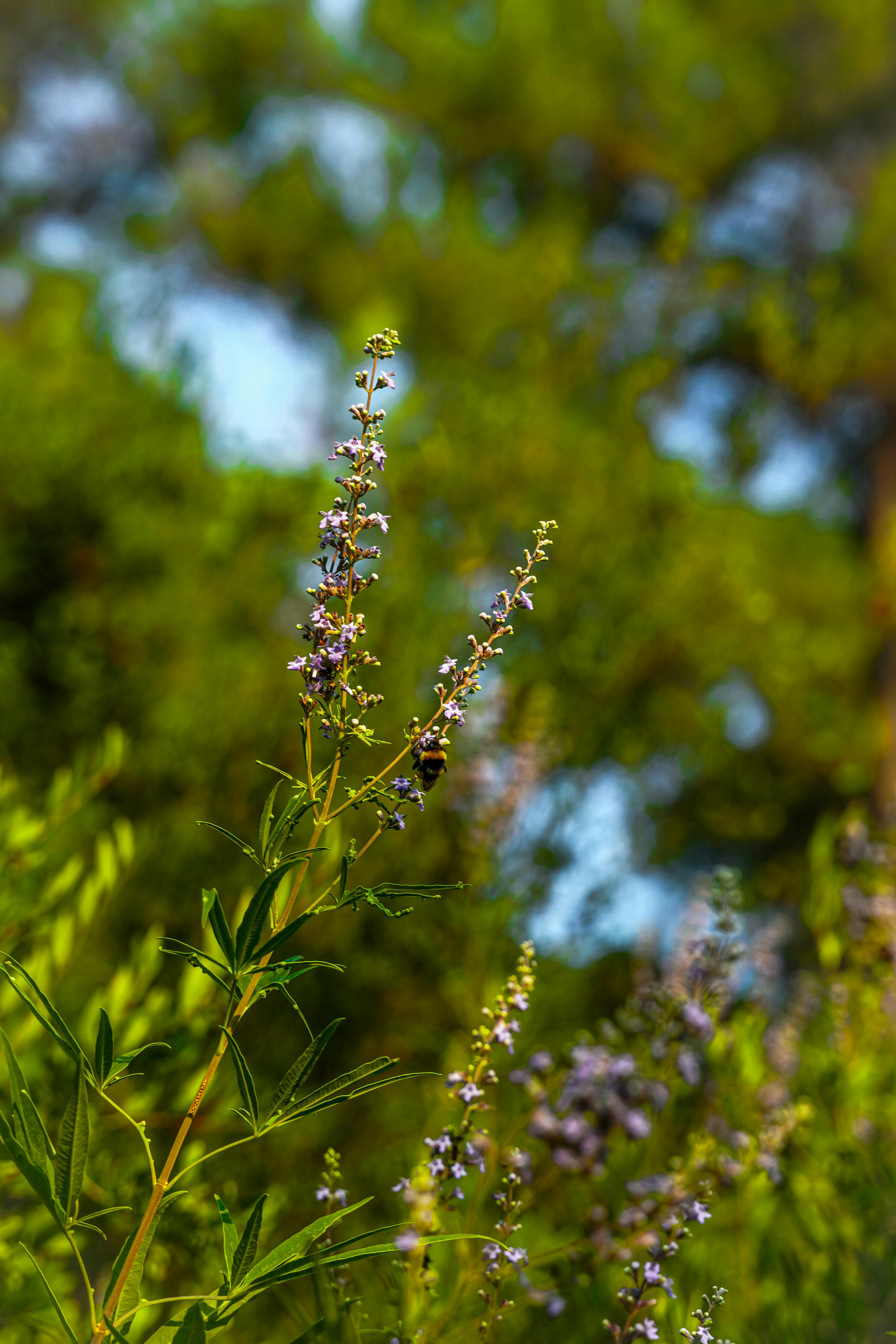 Photo by yarensphotoworks