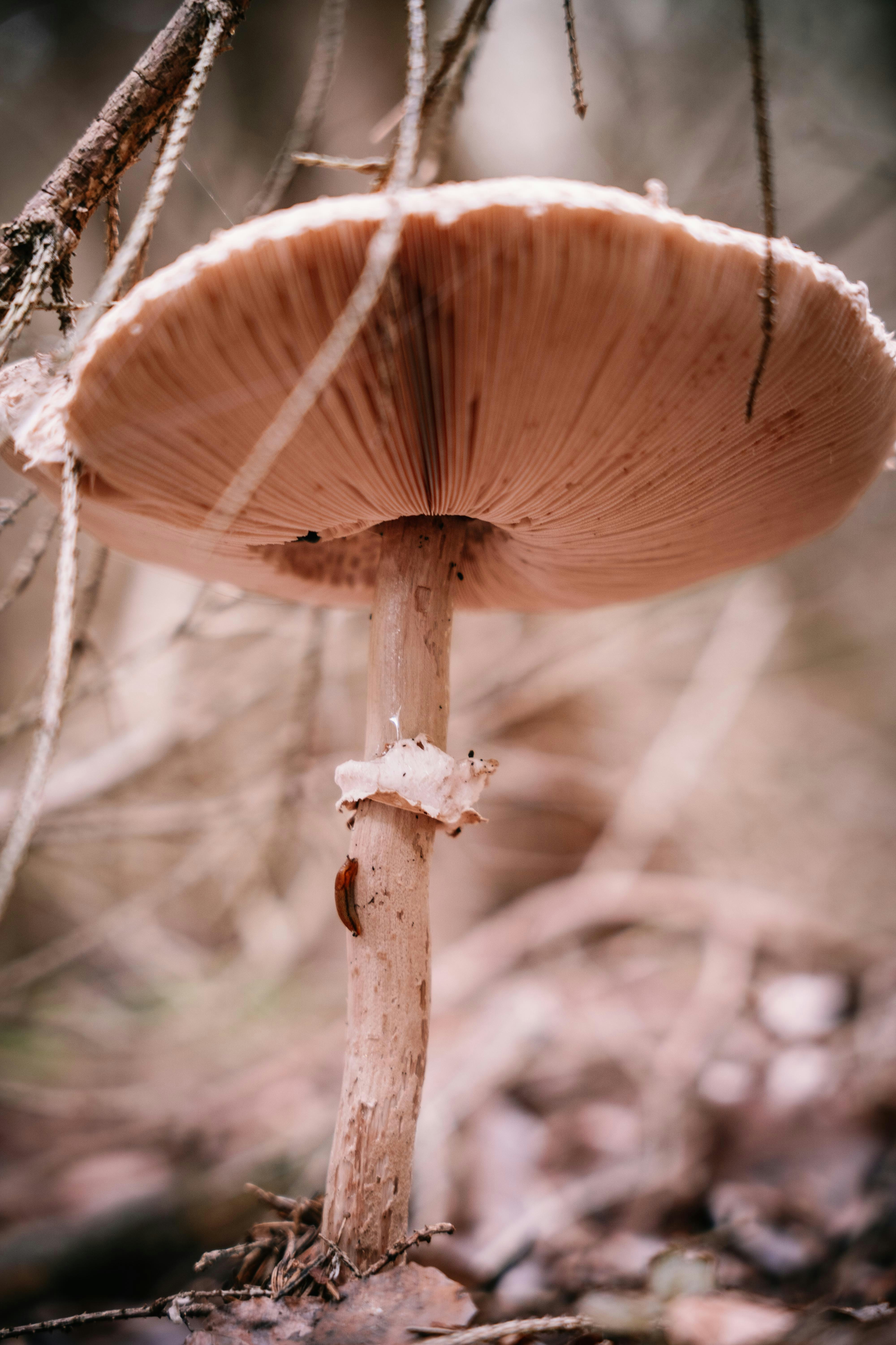 Photo by hs_gestaltung