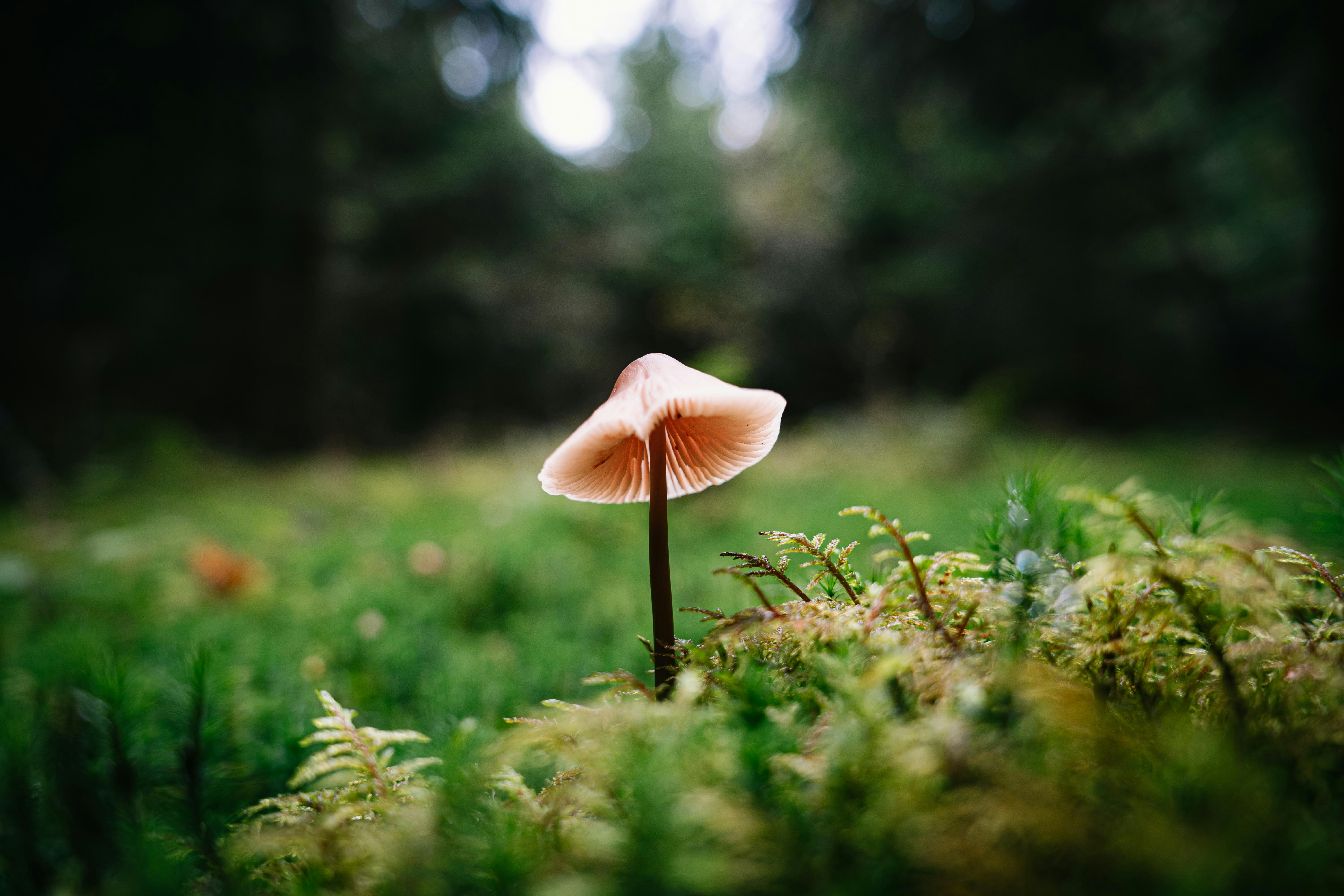 Photo by hs_gestaltung