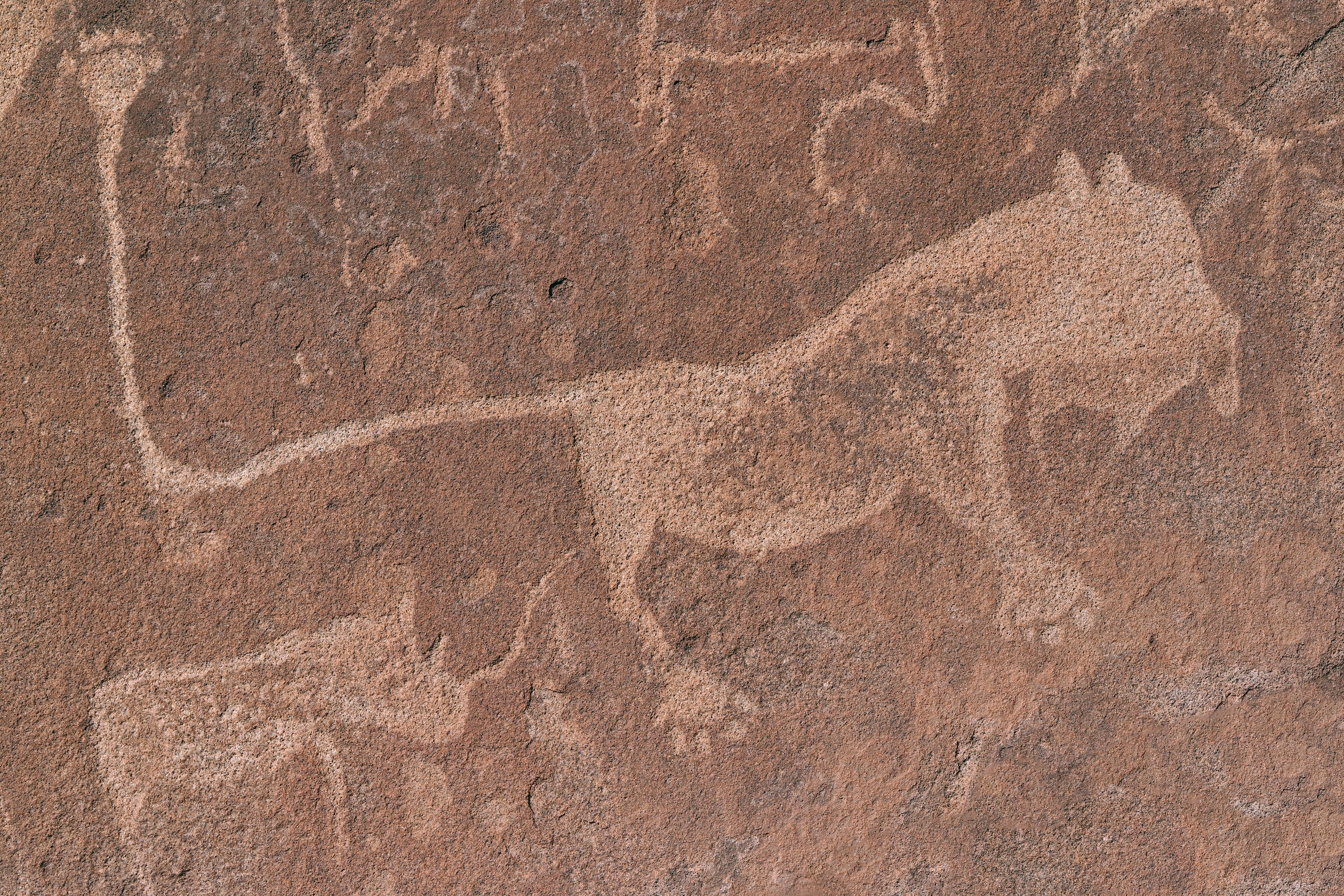 Art and Imagination (image credits: unsplash)