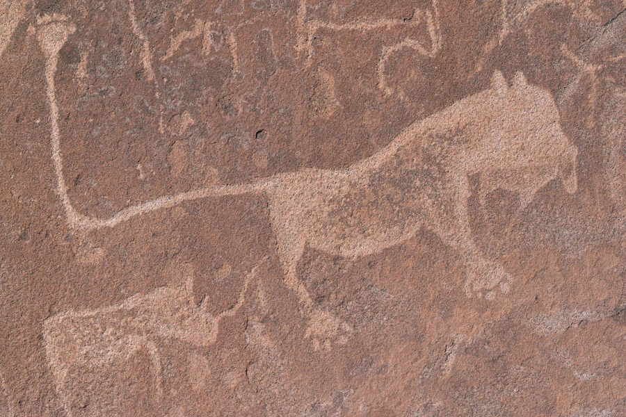 Paysage minéral et roches de la région de Twyfelfontein