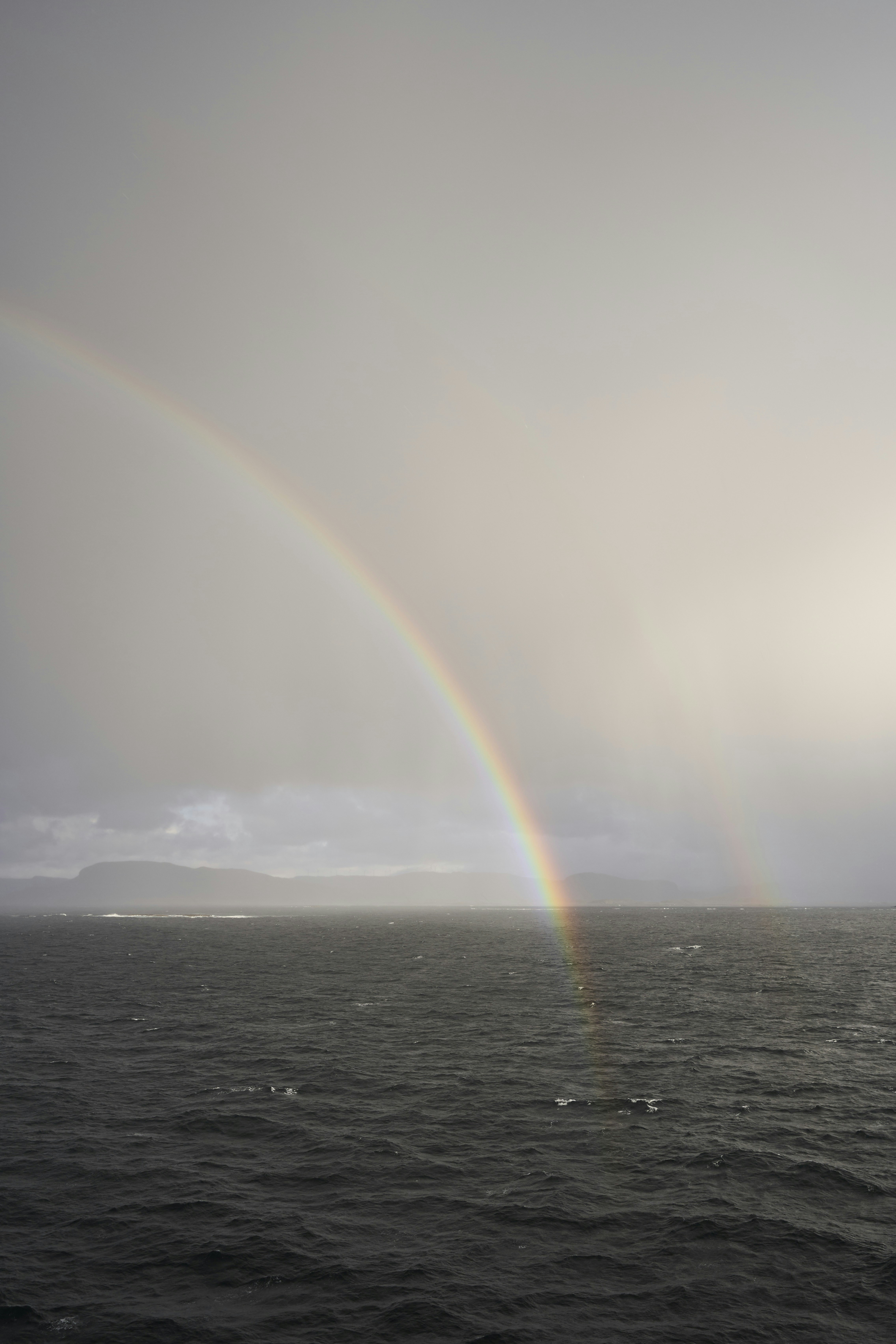 Photo by wolfgang_hasselmann