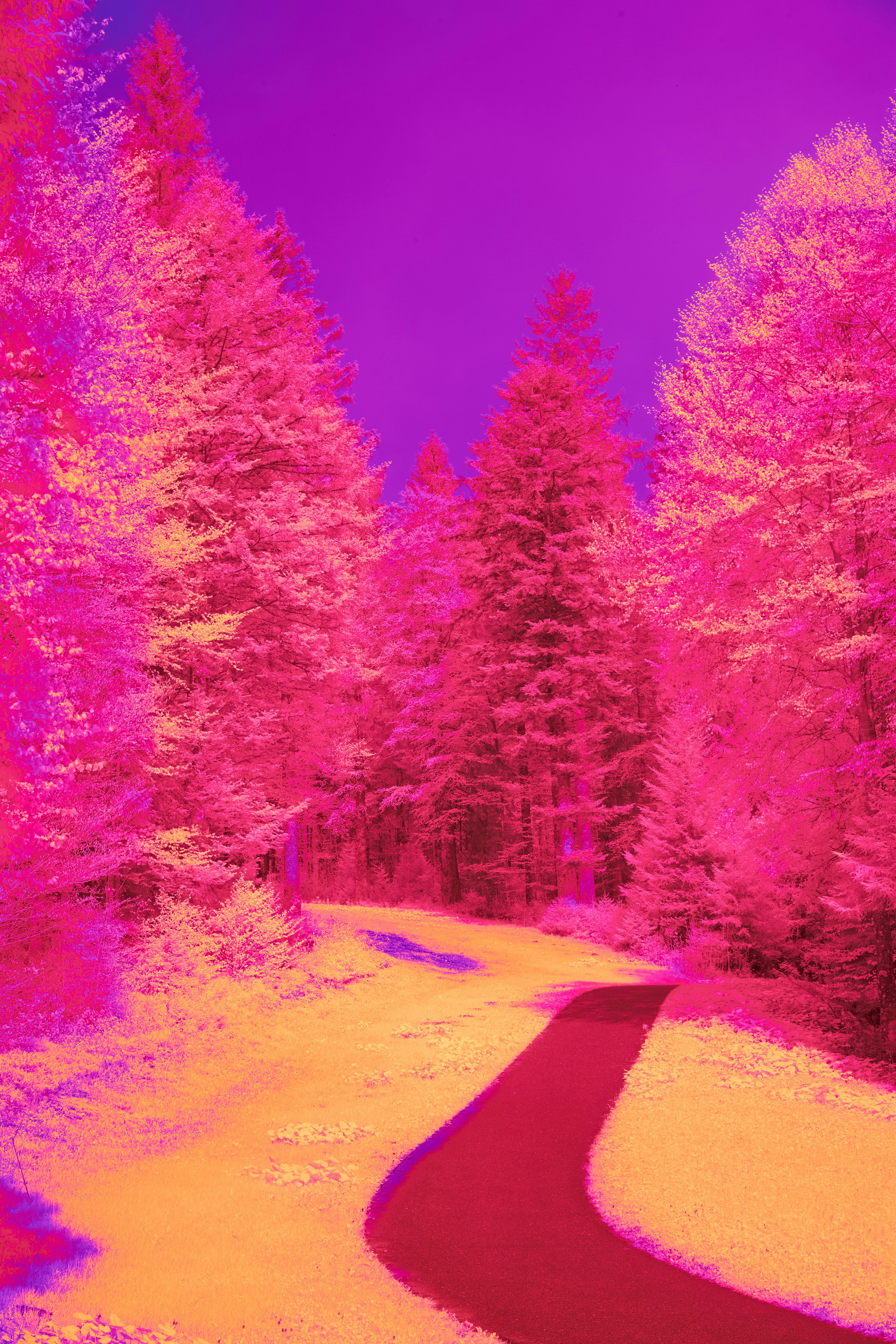 Photo by wolfgang_hasselmann