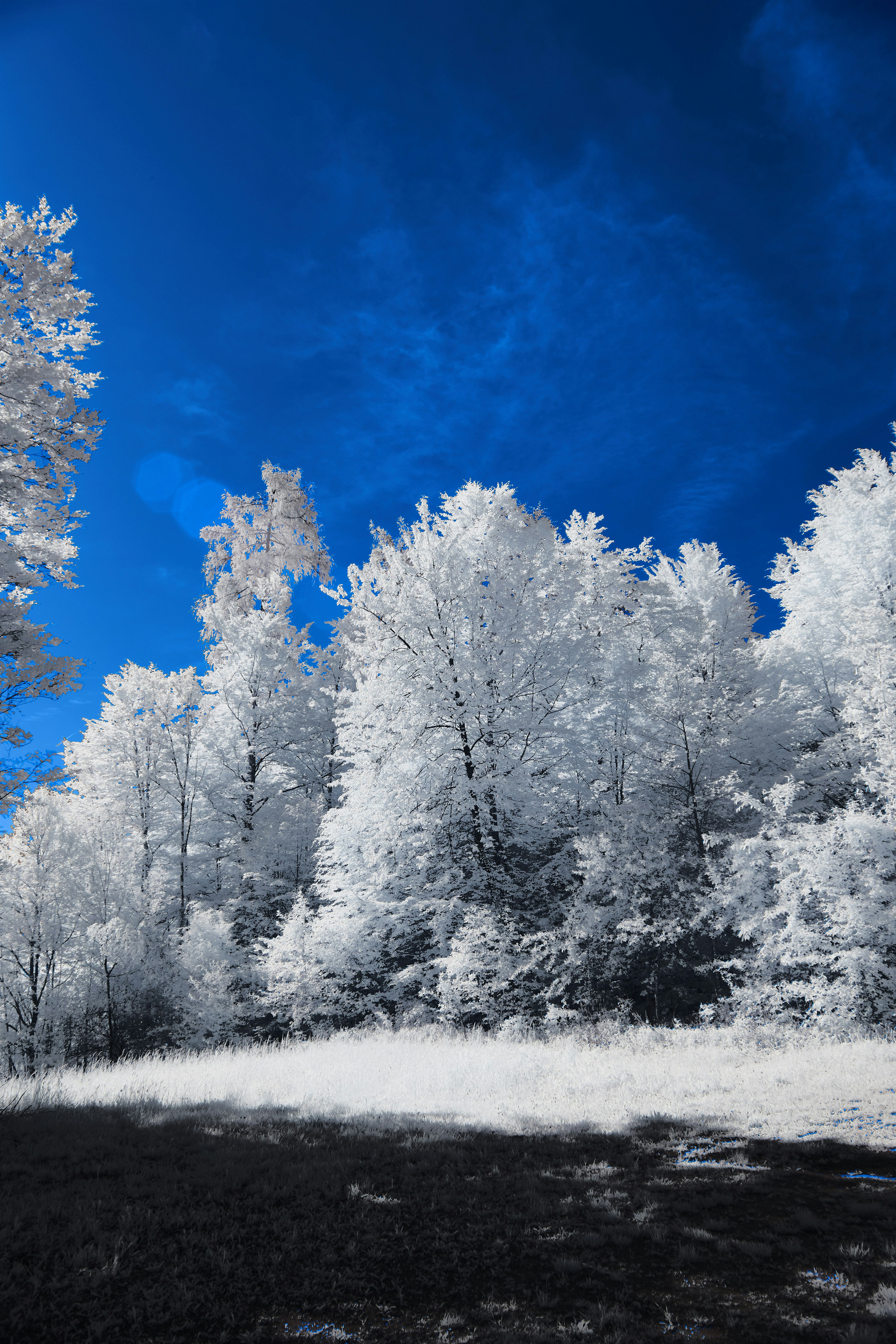 Photo by wolfgang_hasselmann