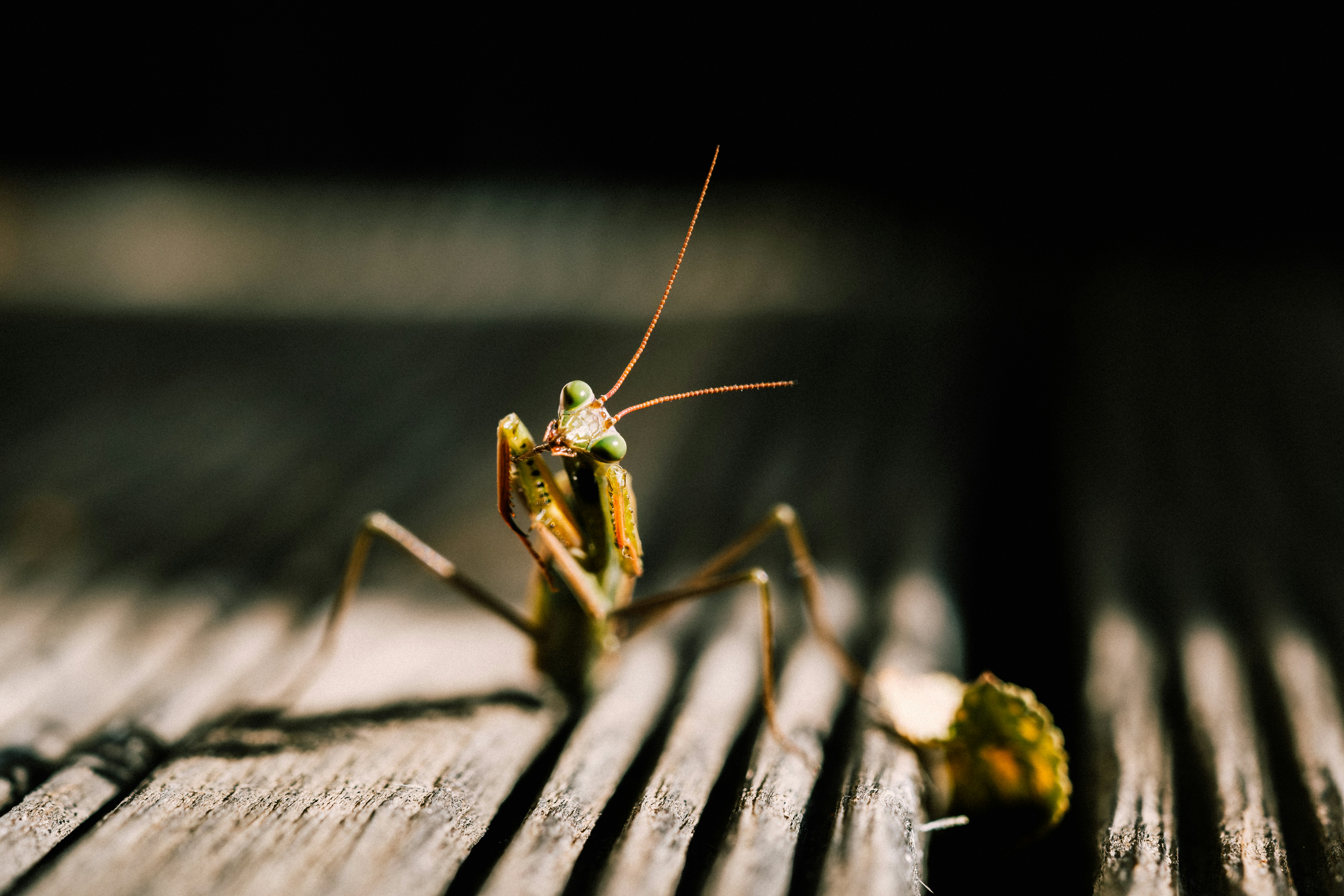 Photo by remimorel05