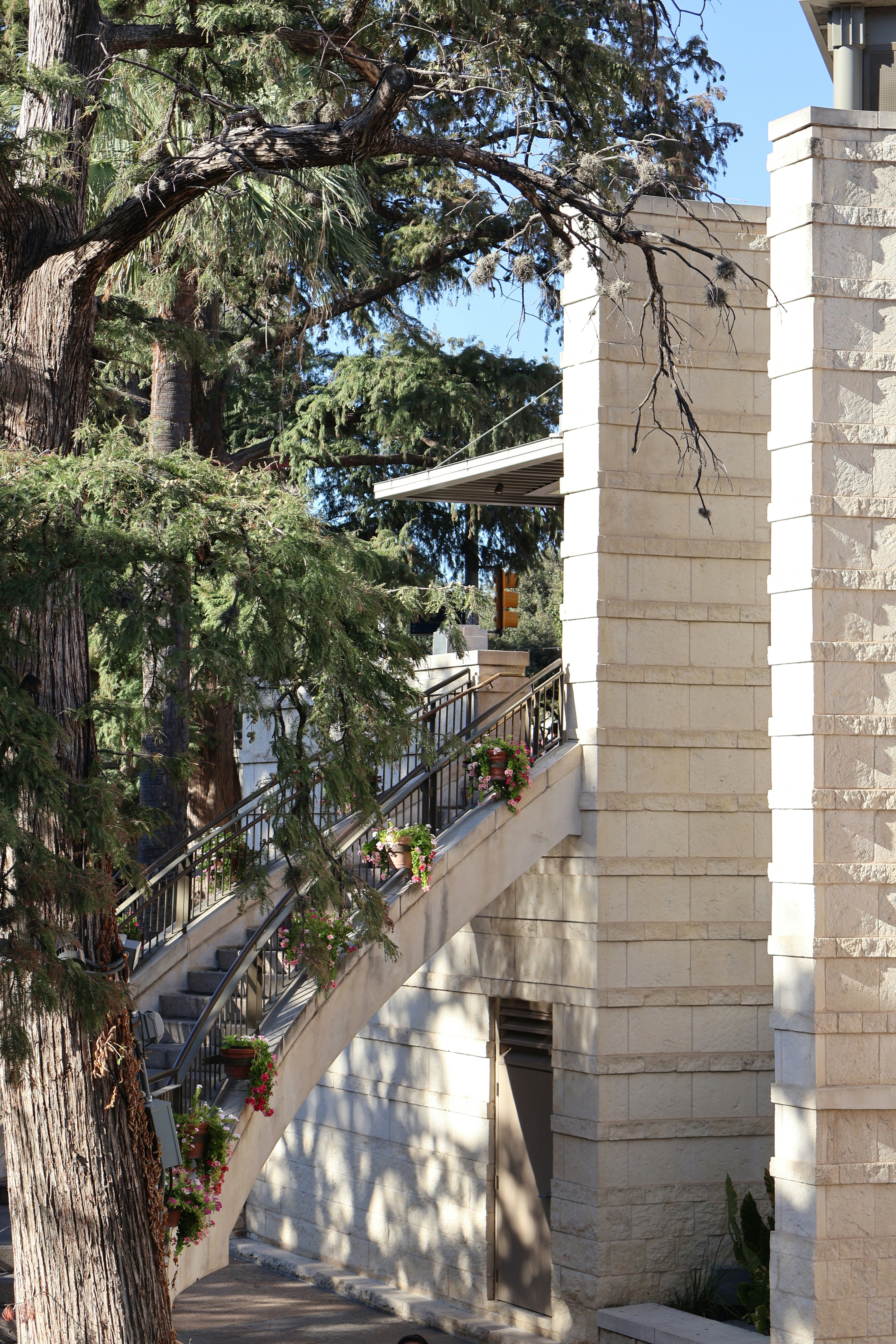A tall clock tower sitting next to a tree