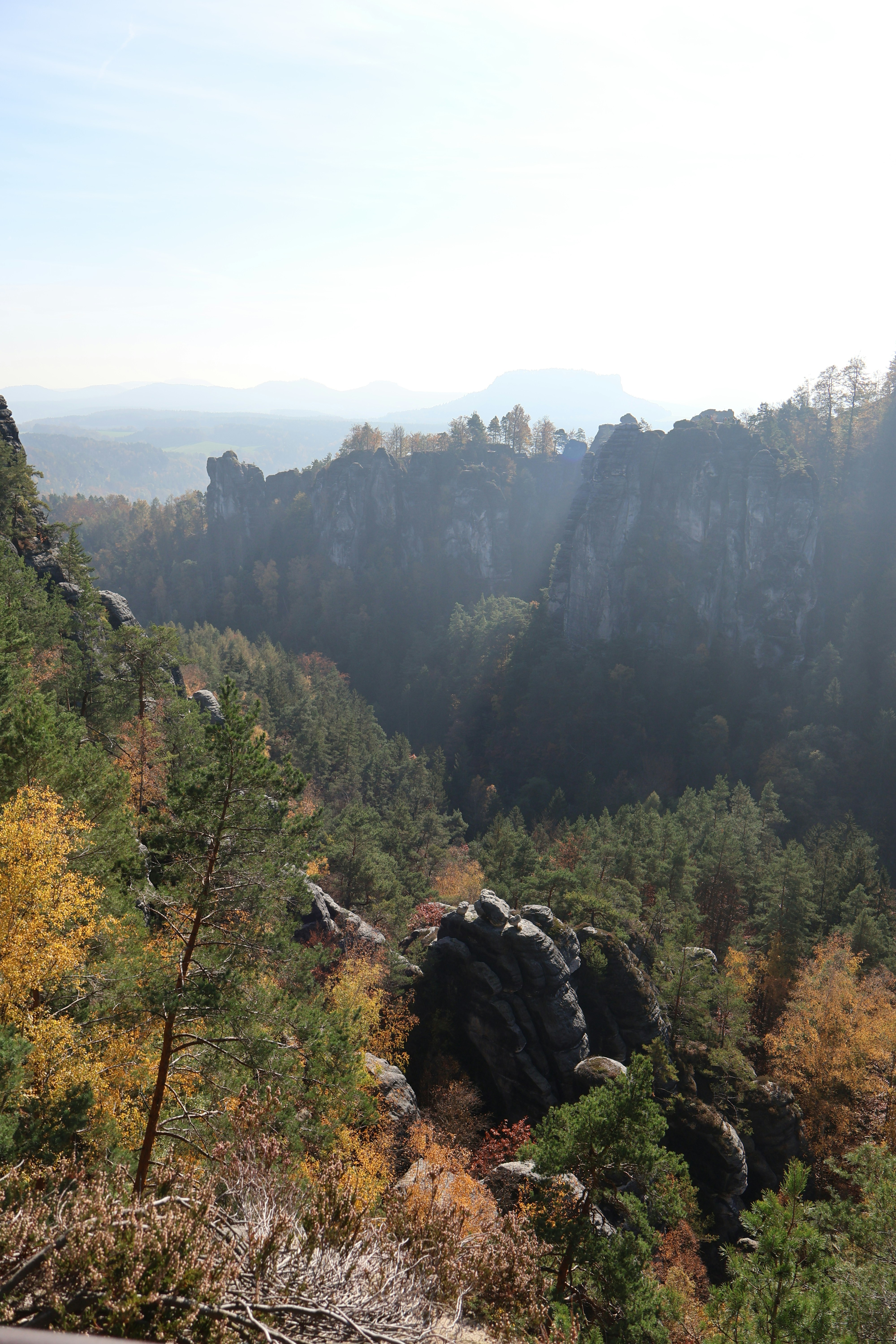 A view of the mountains and trees from the top of a hill