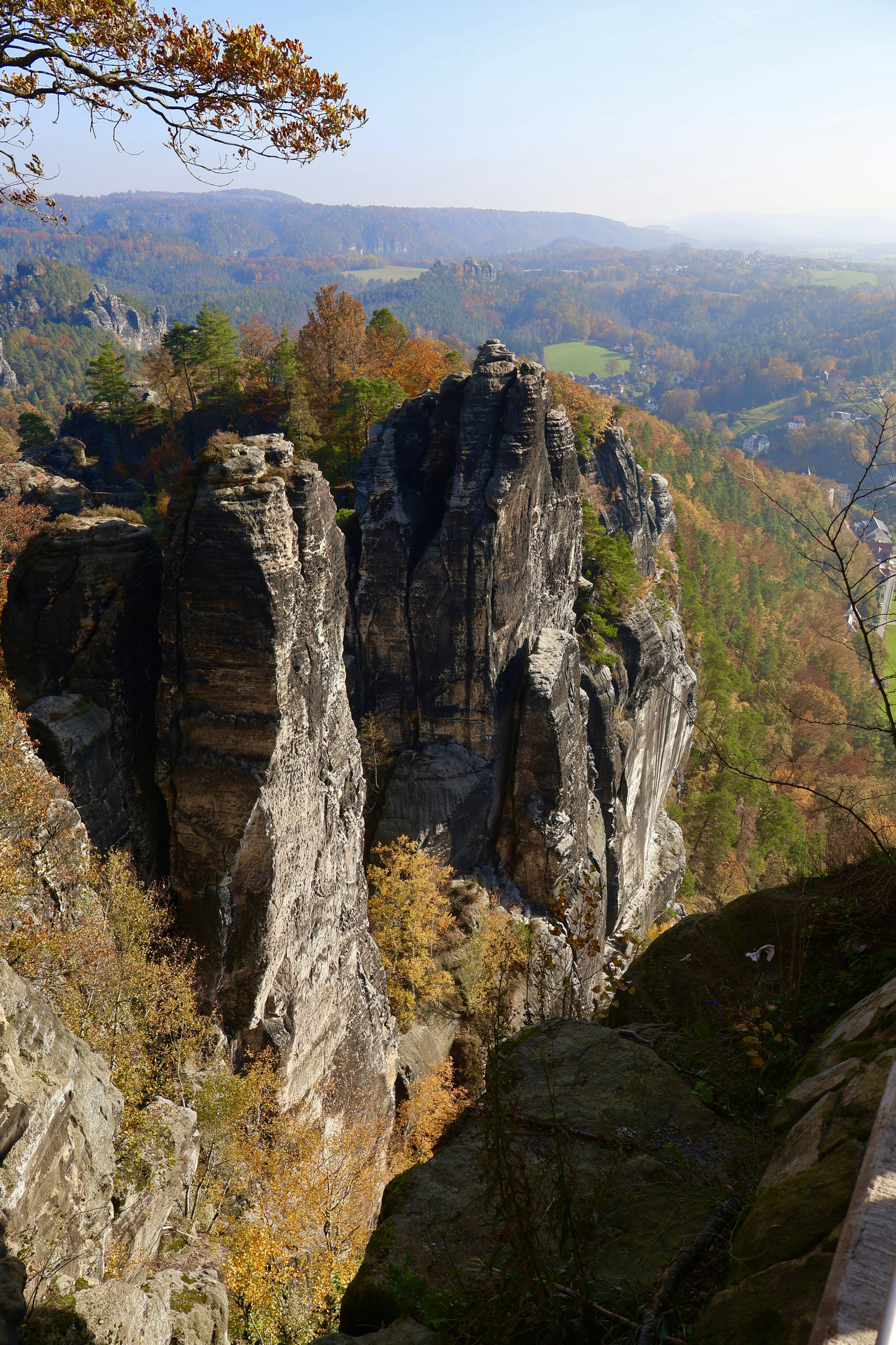 A man standing on top of a cliff next to a forest