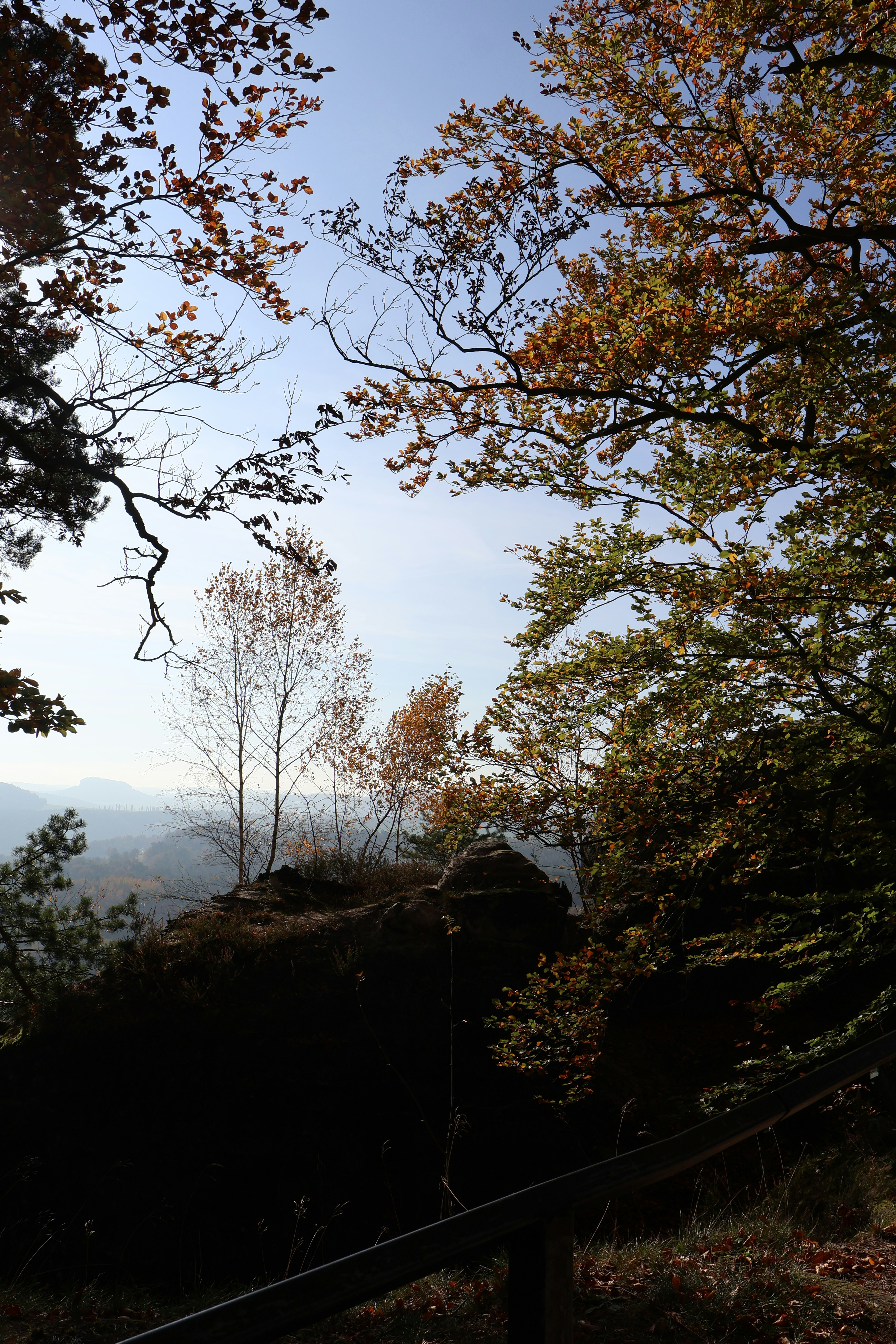 A view of a wooded area with trees and hills in the background
