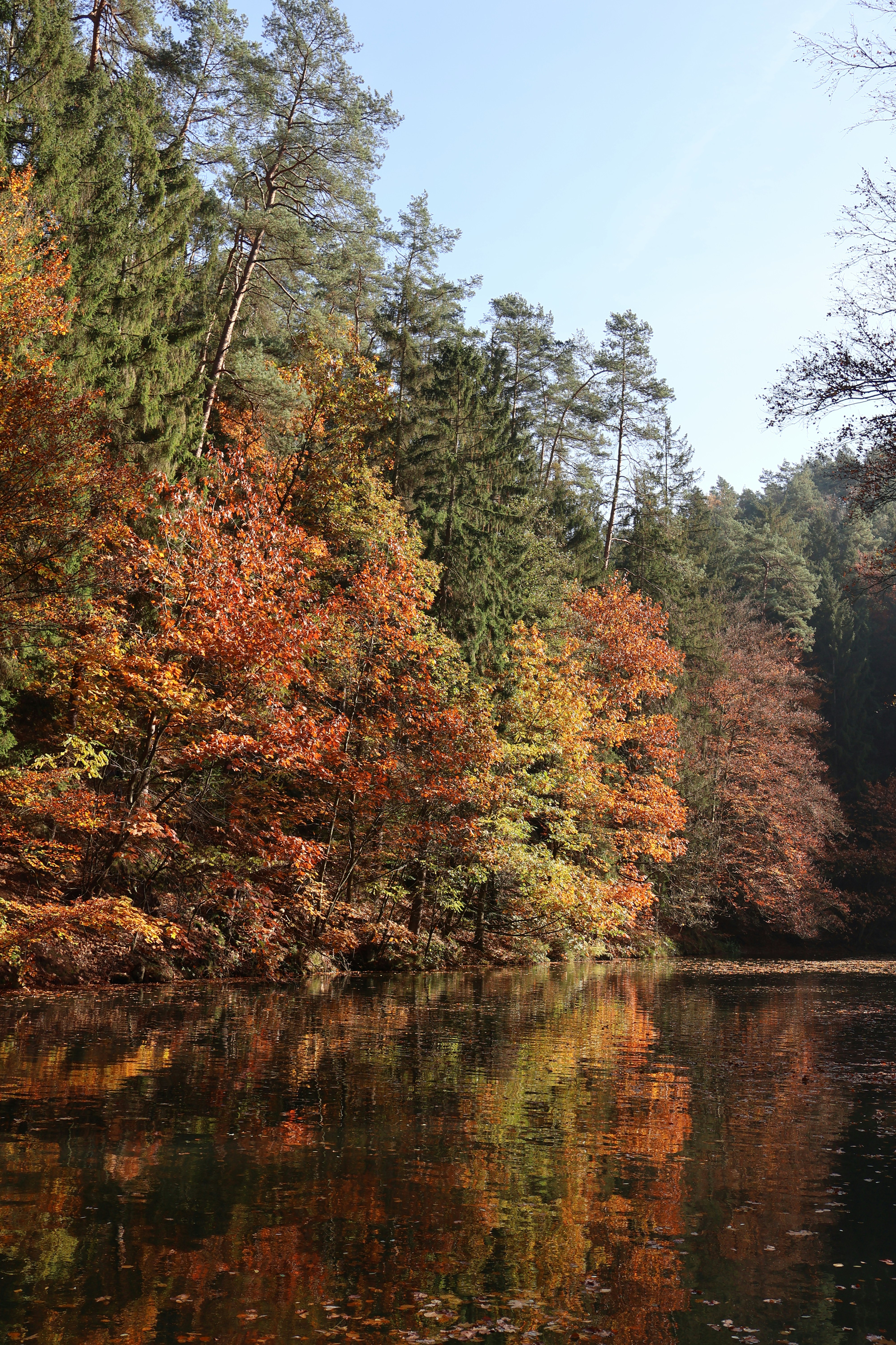 A body of water surrounded by lots of trees