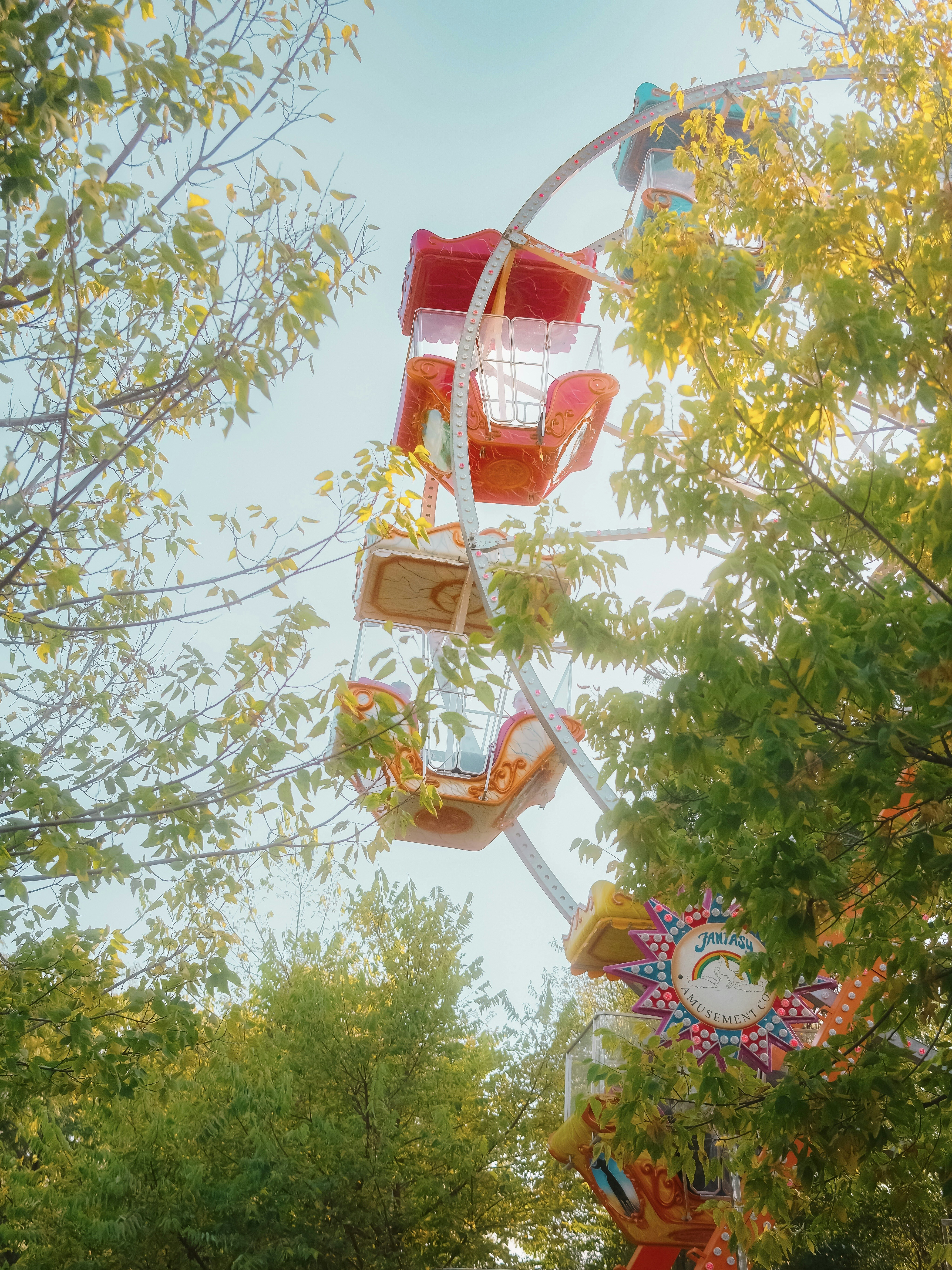 A ferris wheel in a park with trees in the background