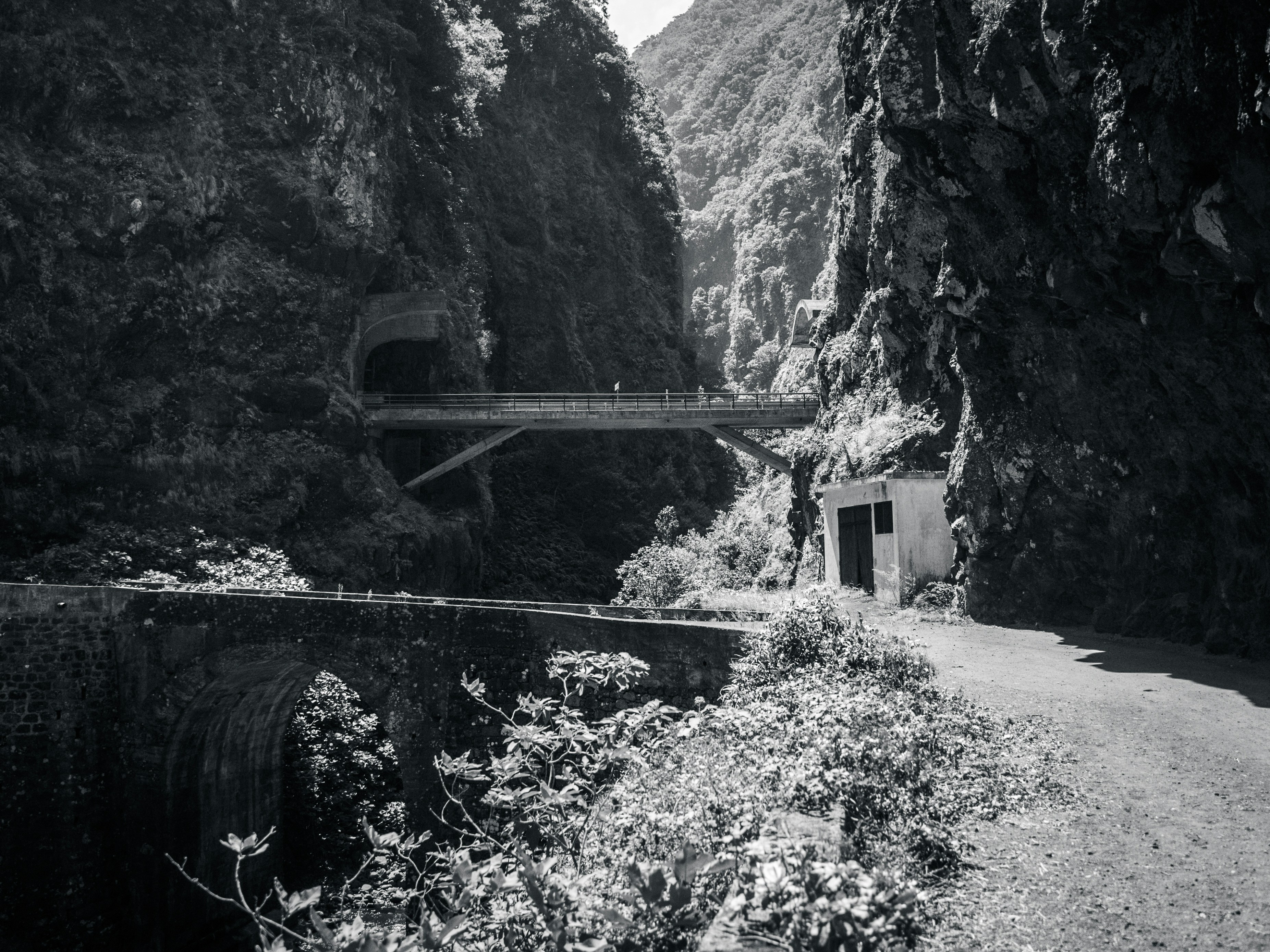 A black and white photo of a narrow road