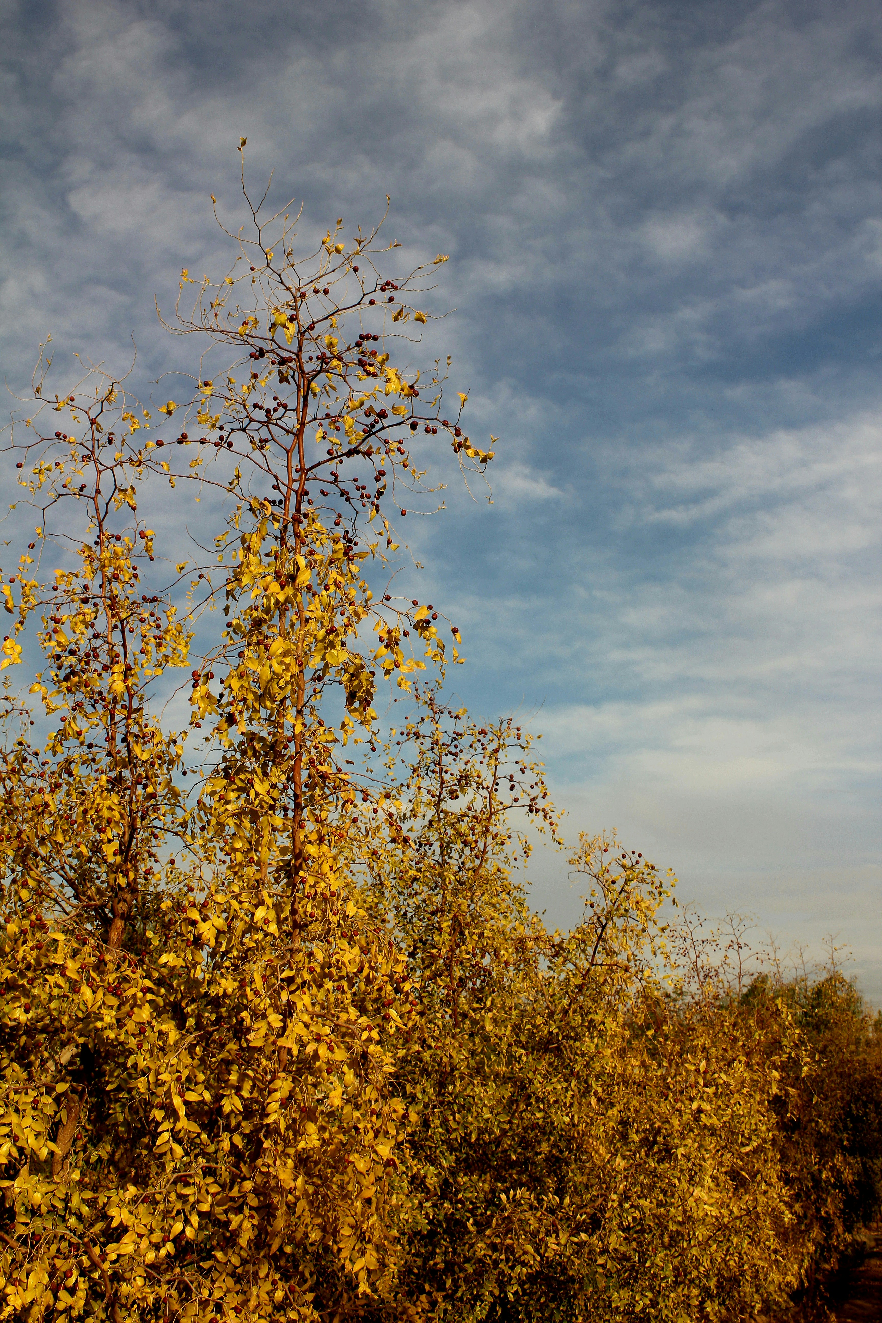 Photo by manavimoghadam