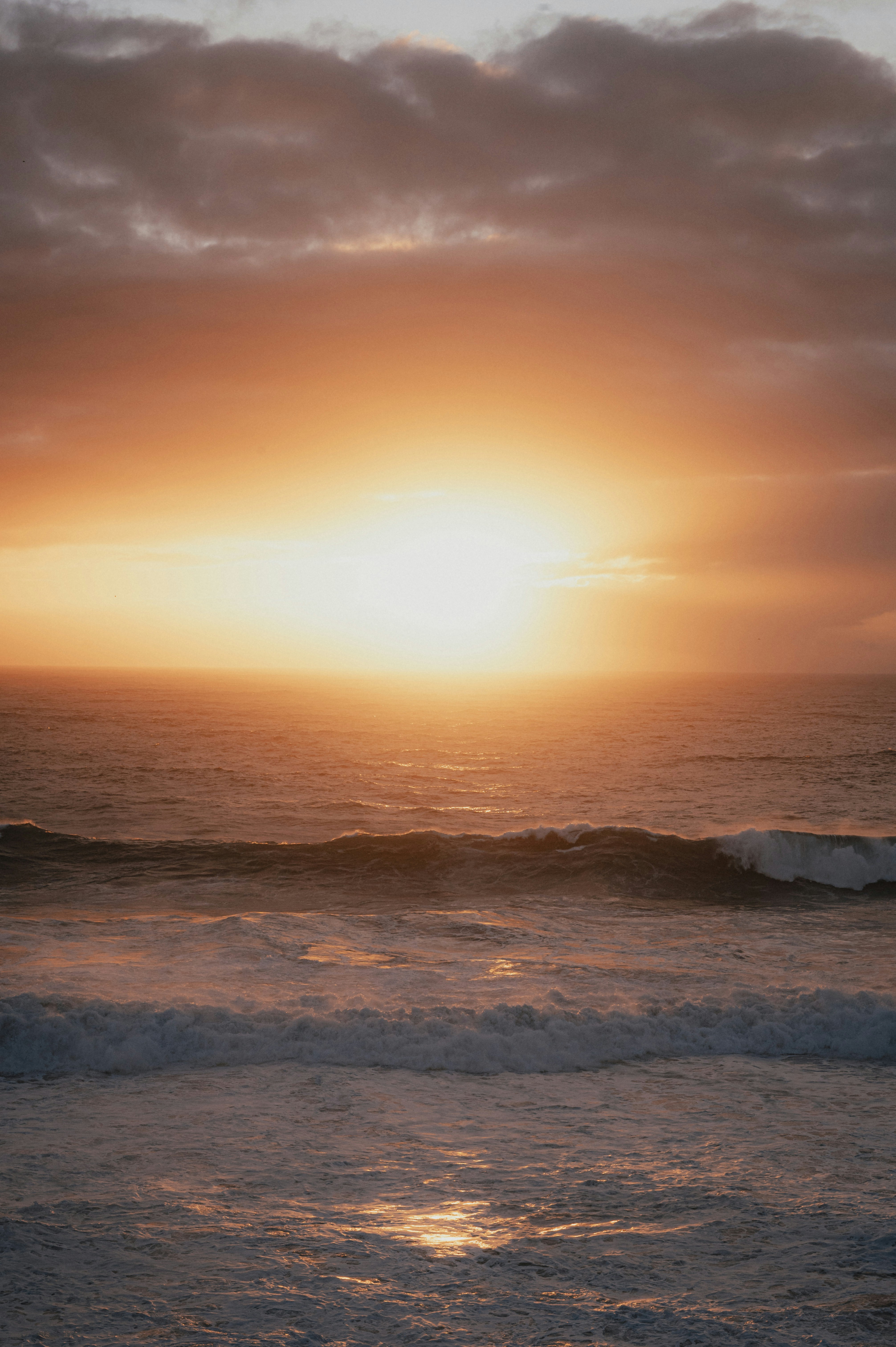 Photo by luca_severin