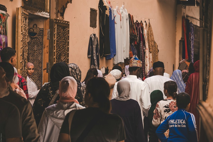 Medina of Fez: The World's Largest Car-Free Urban Area