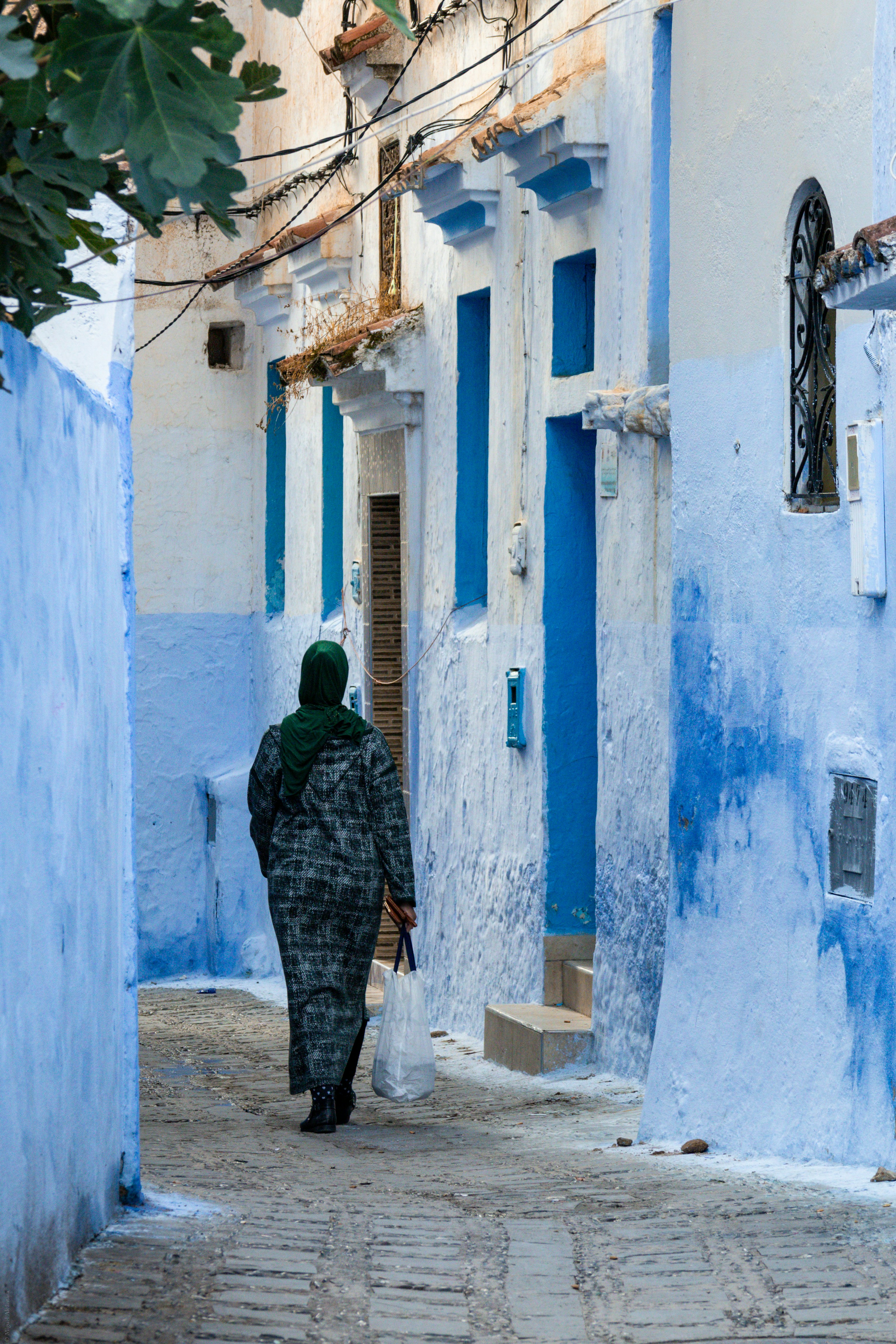 Photo by miguelalcantara