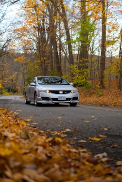 A silver car driving down a road surrounded by trees