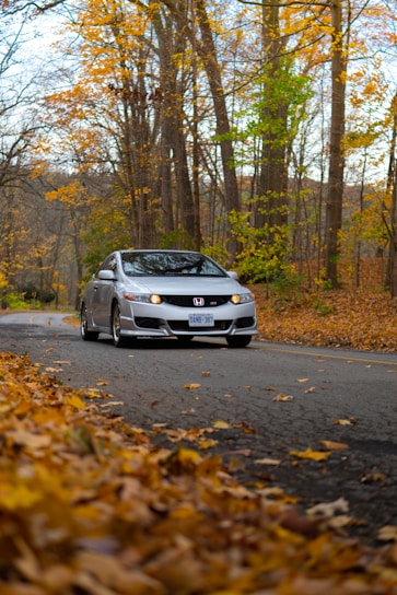 A silver car driving down a road surrounded by trees