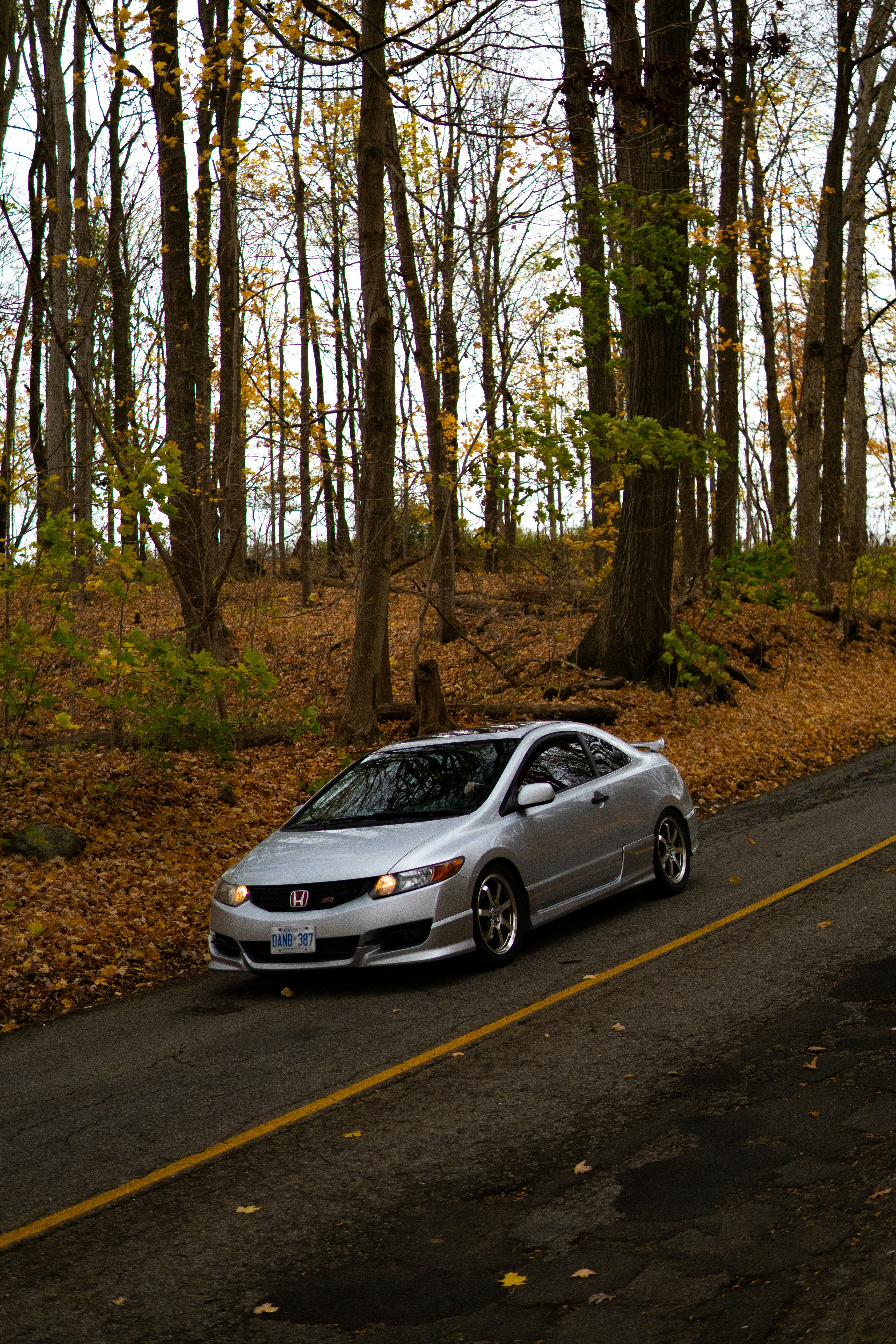 Photo by zackotto126