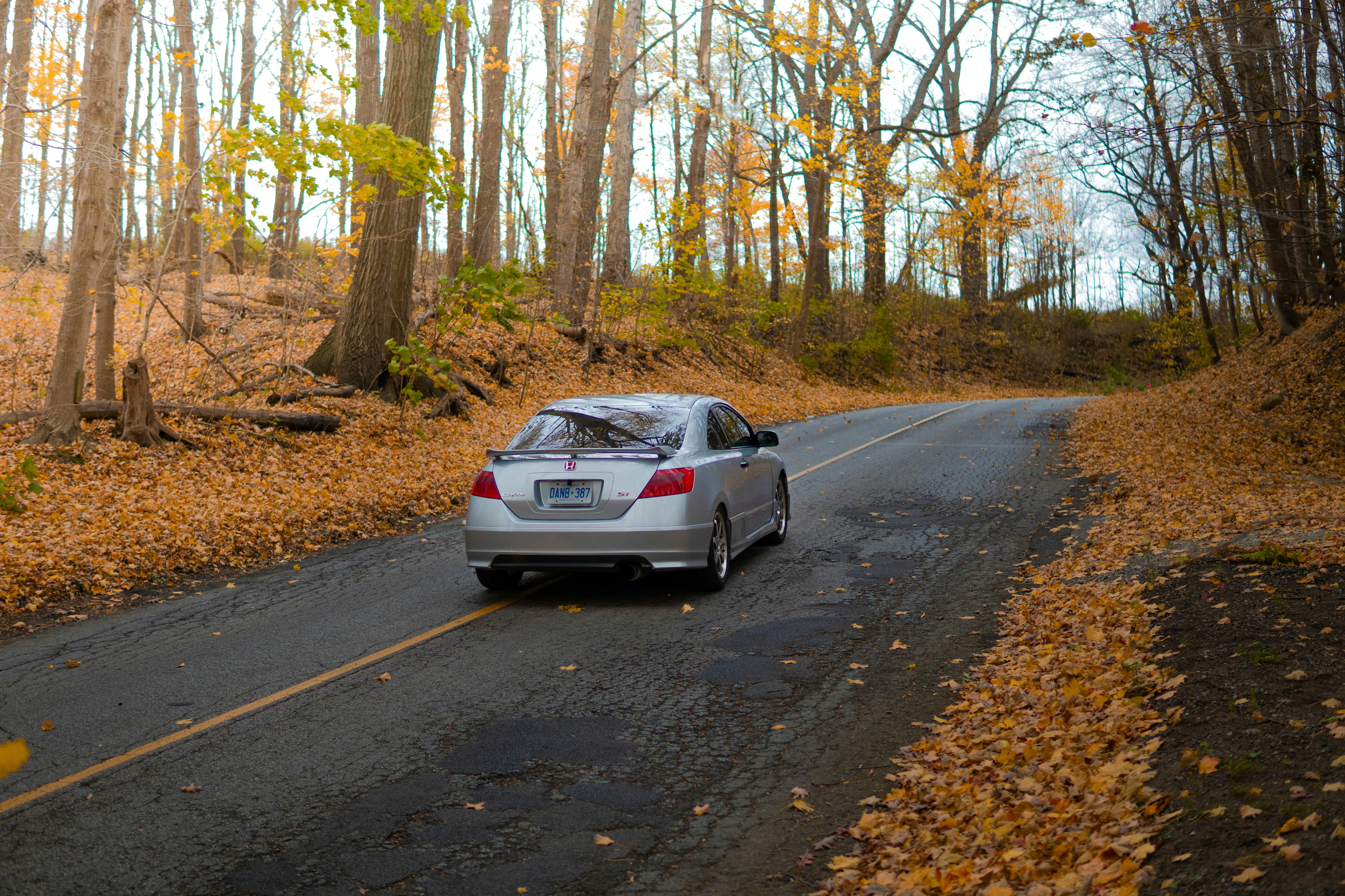 Photo by zackotto126