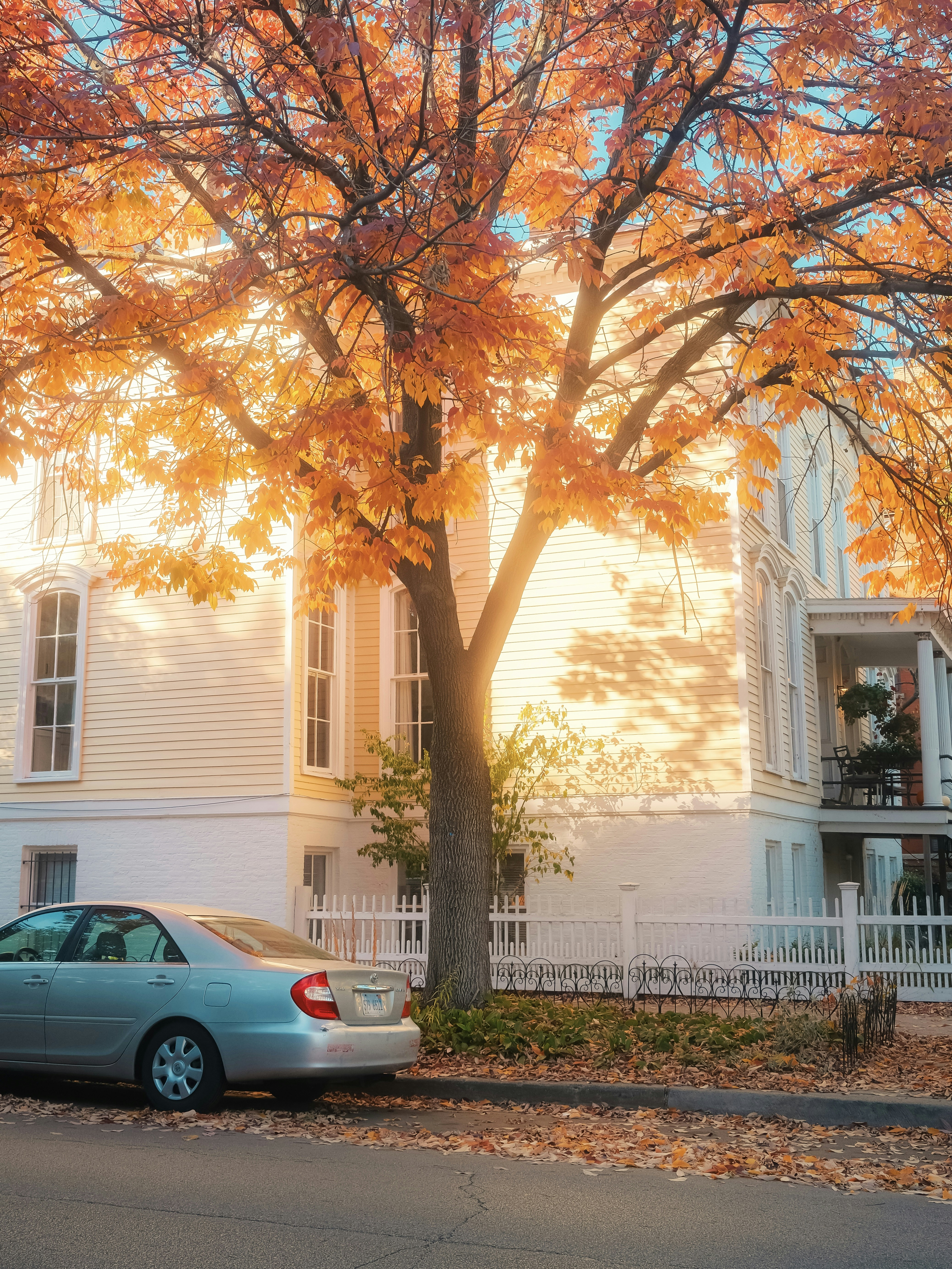 Photo by chrissyjenkins