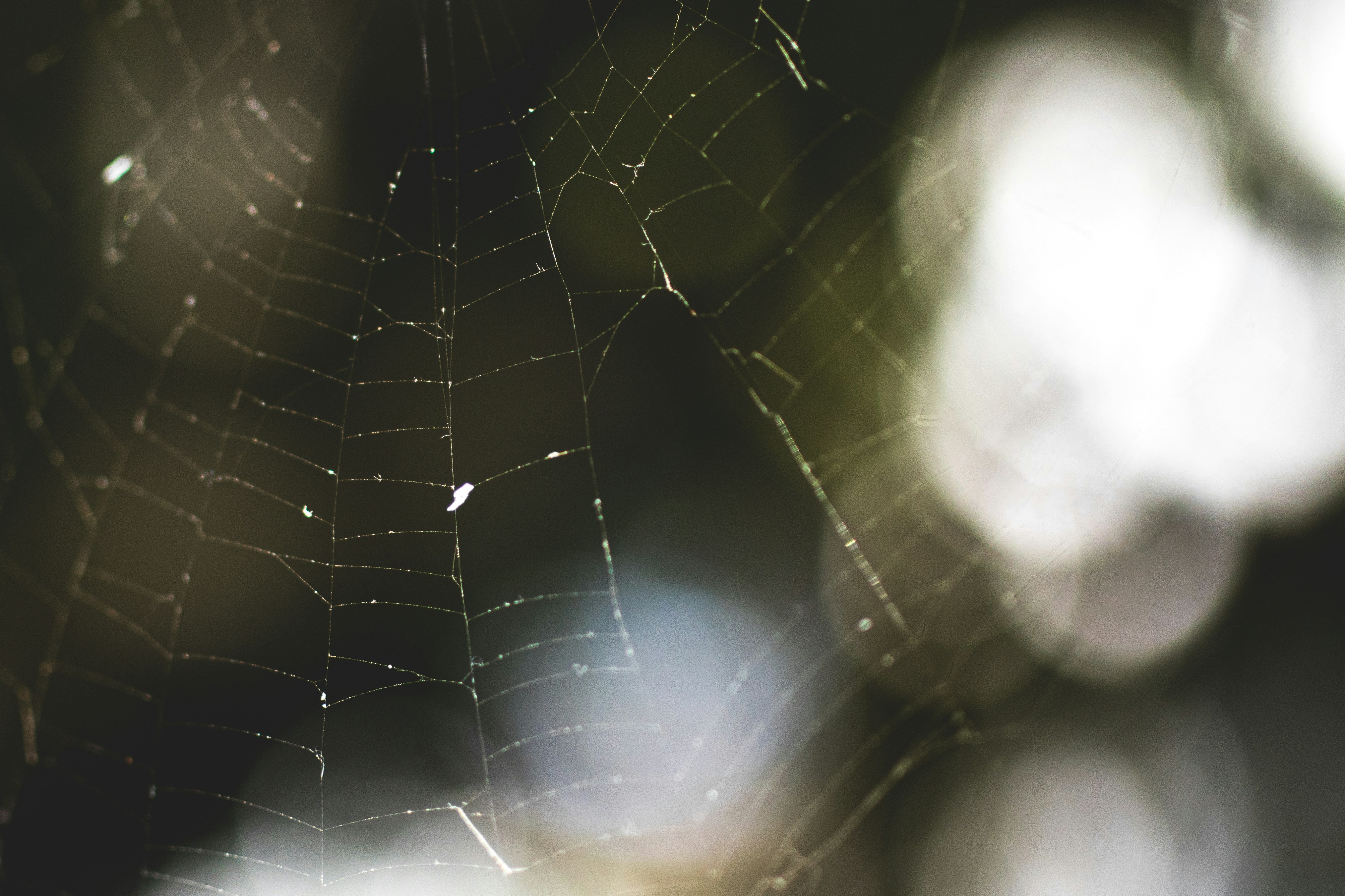 Photo by sentimaprinco