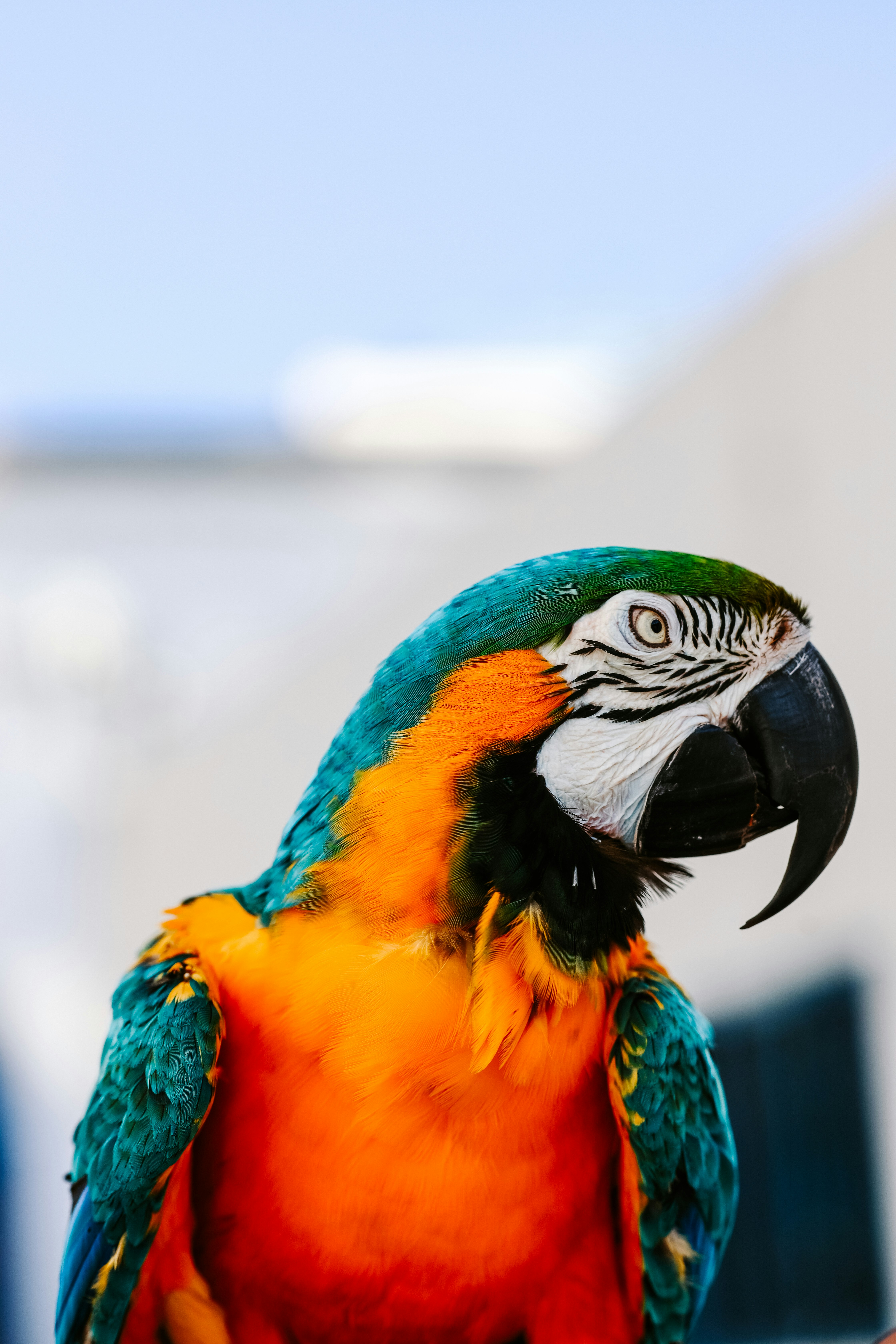 Photo by himo_beast1996