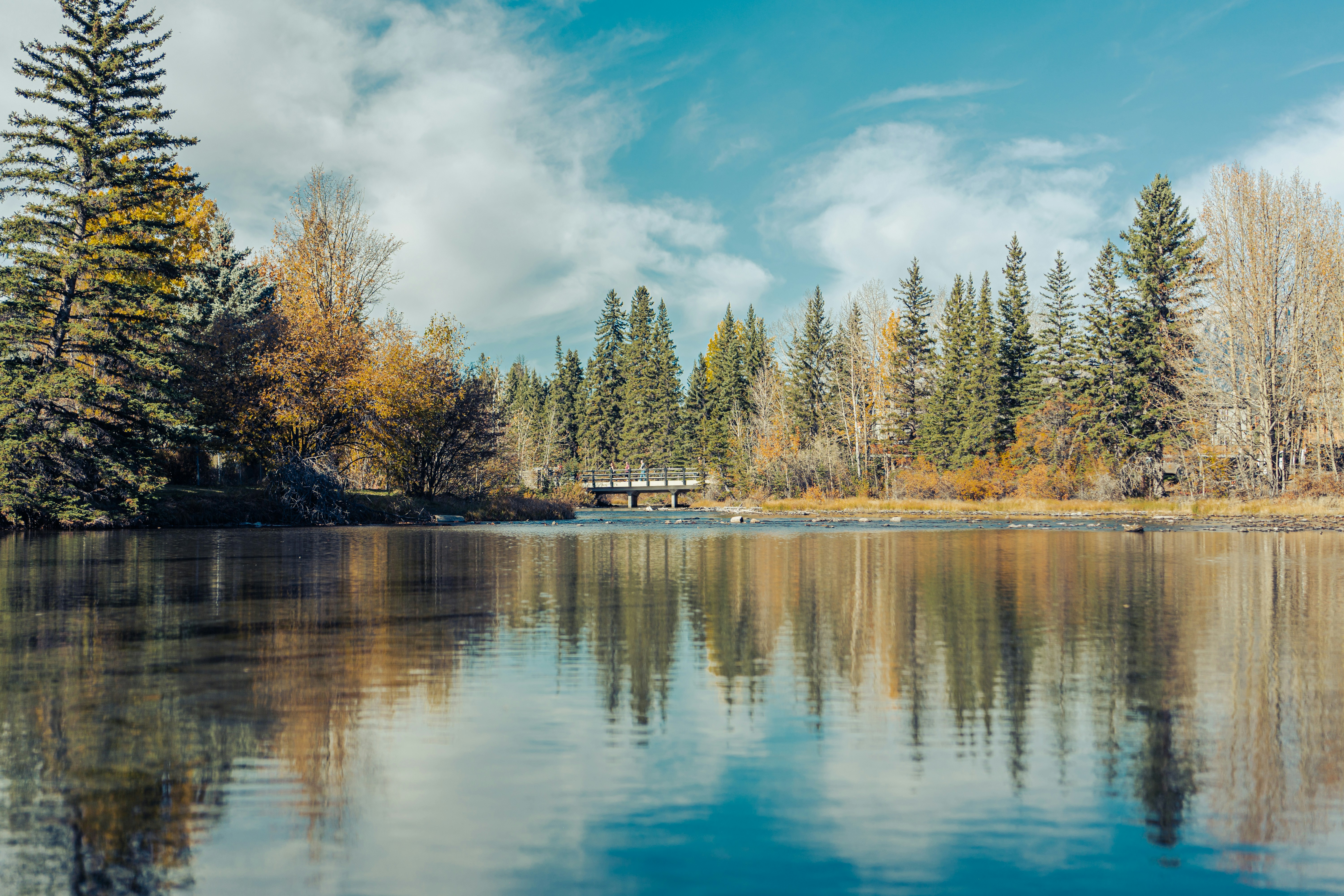 Photo by sachin_sandhu