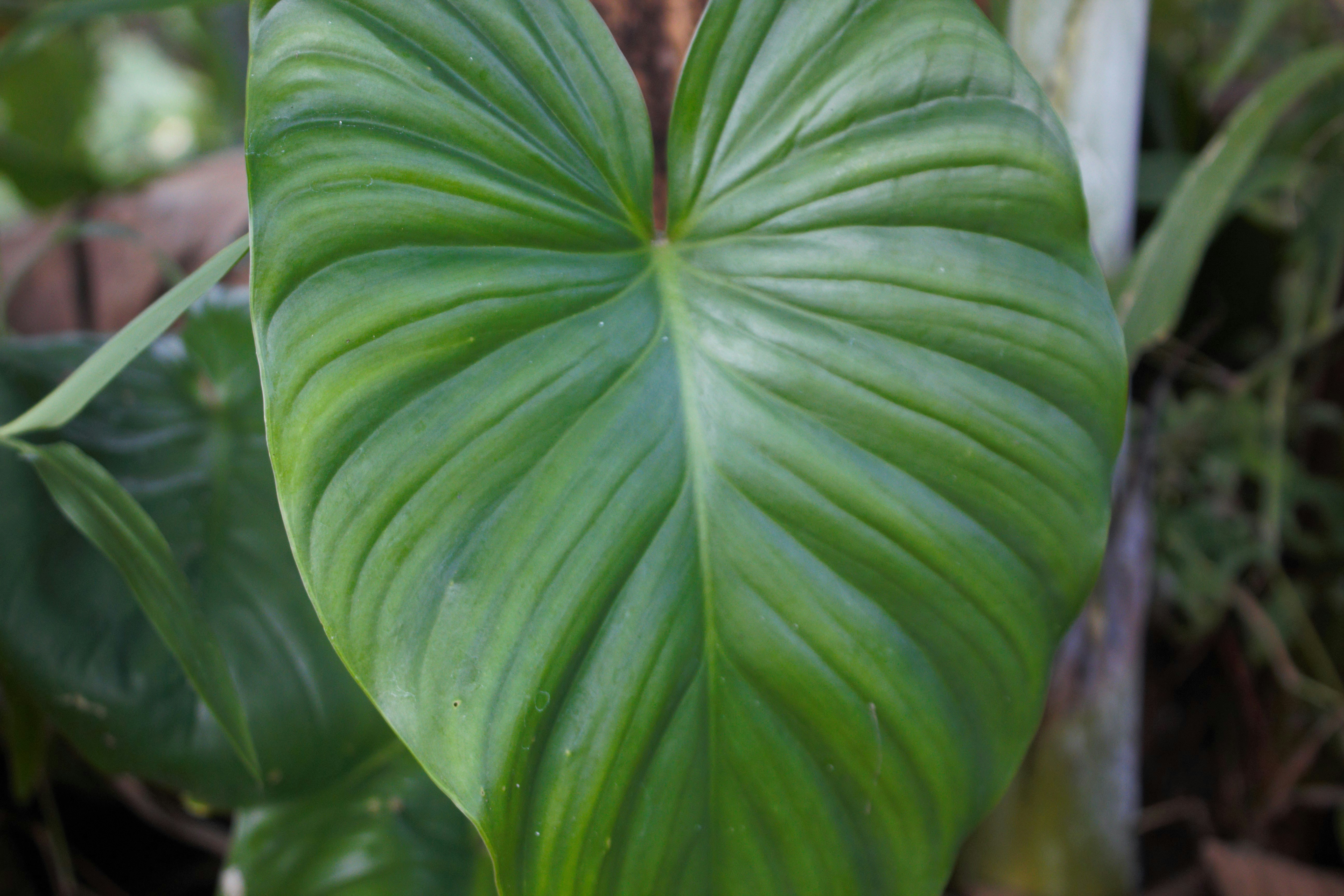 Photo by cindycreativeworks