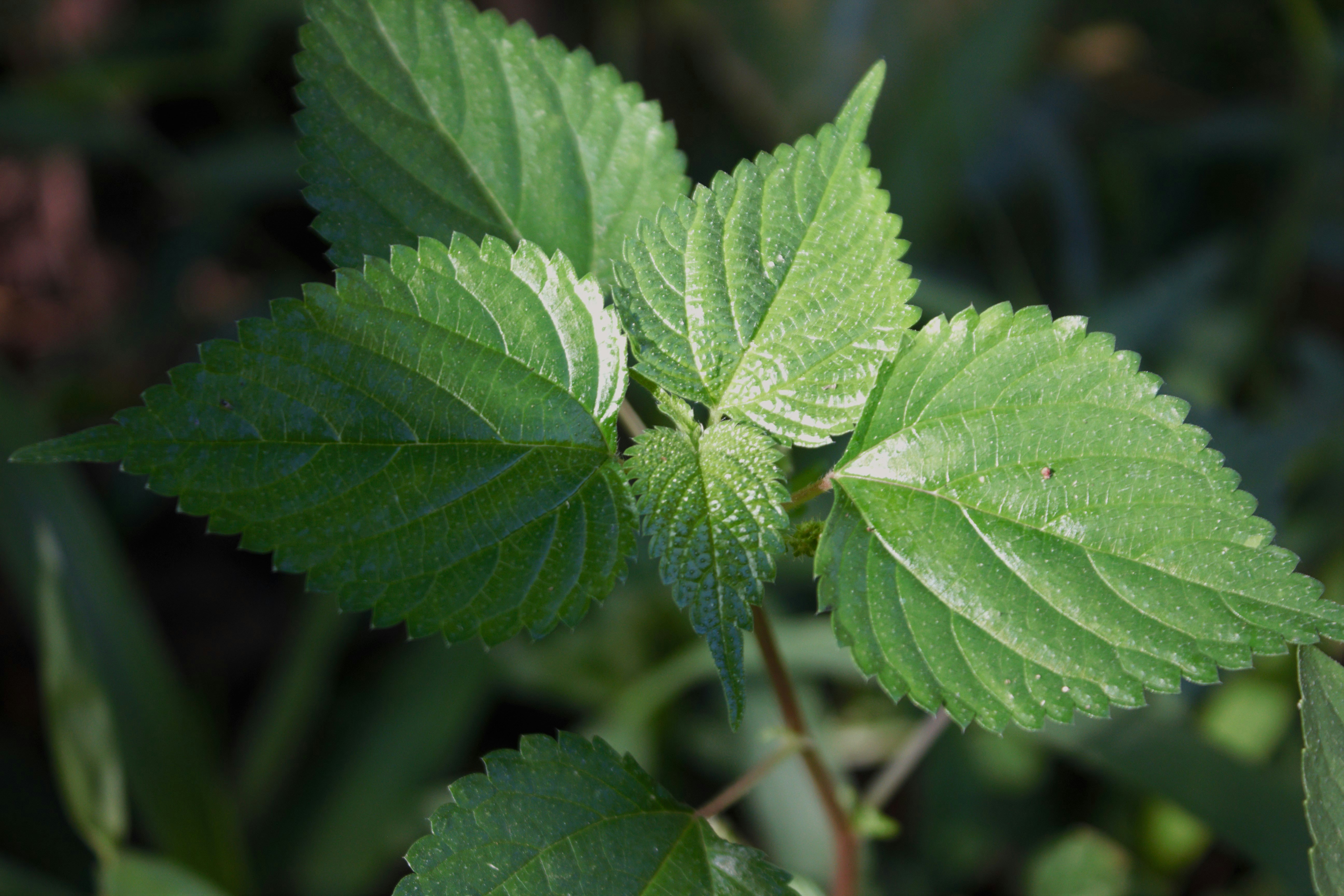 Photo by cindycreativeworks