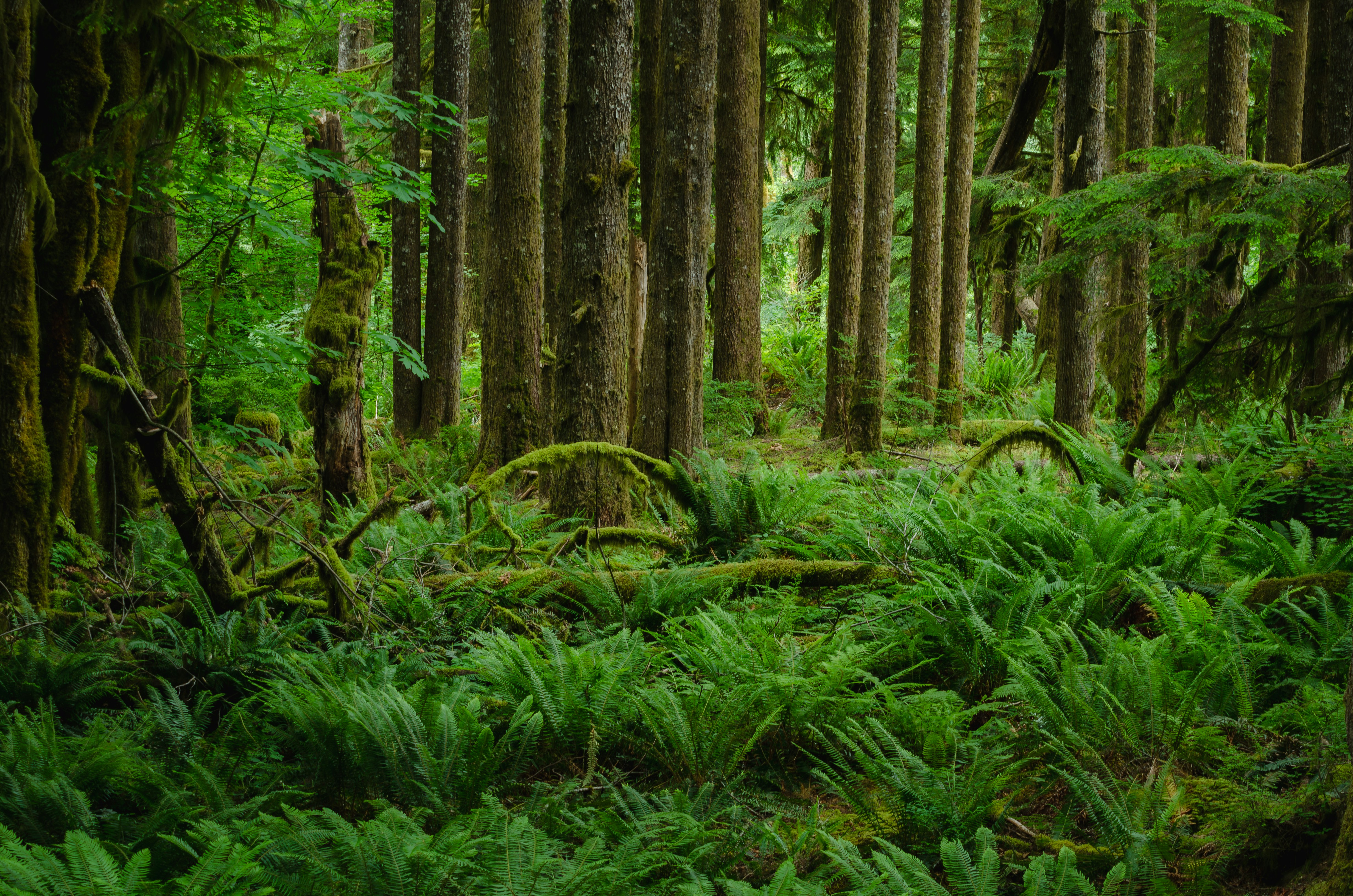 Photo by quinnaebiphoto