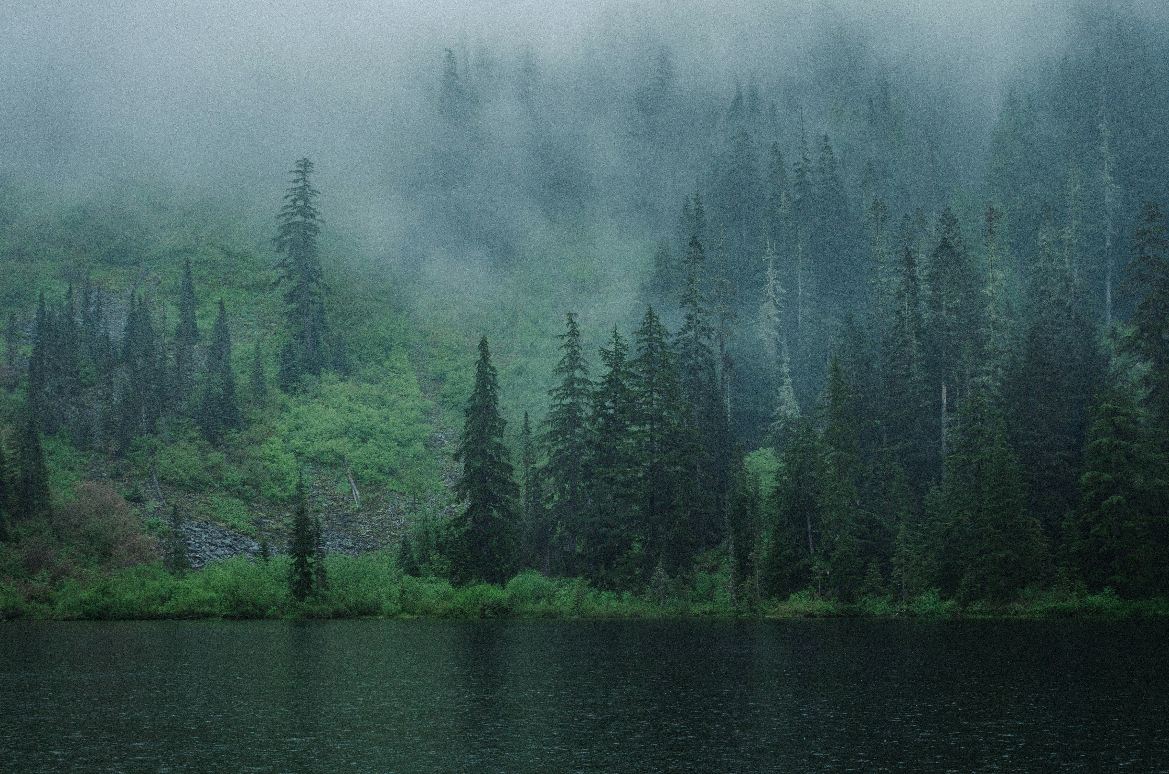 Photo by quinnaebiphoto