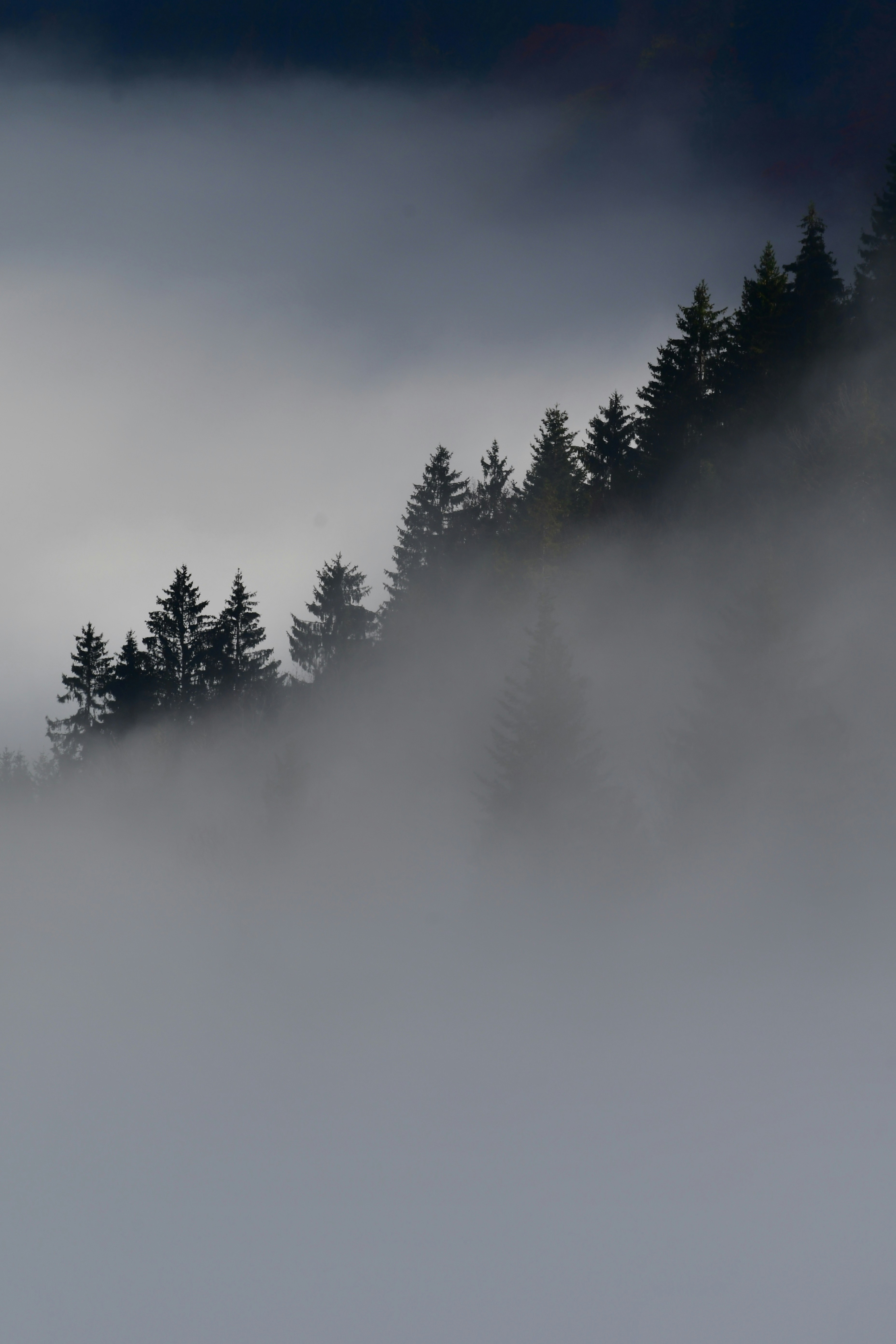 Photo by pedrino5_official