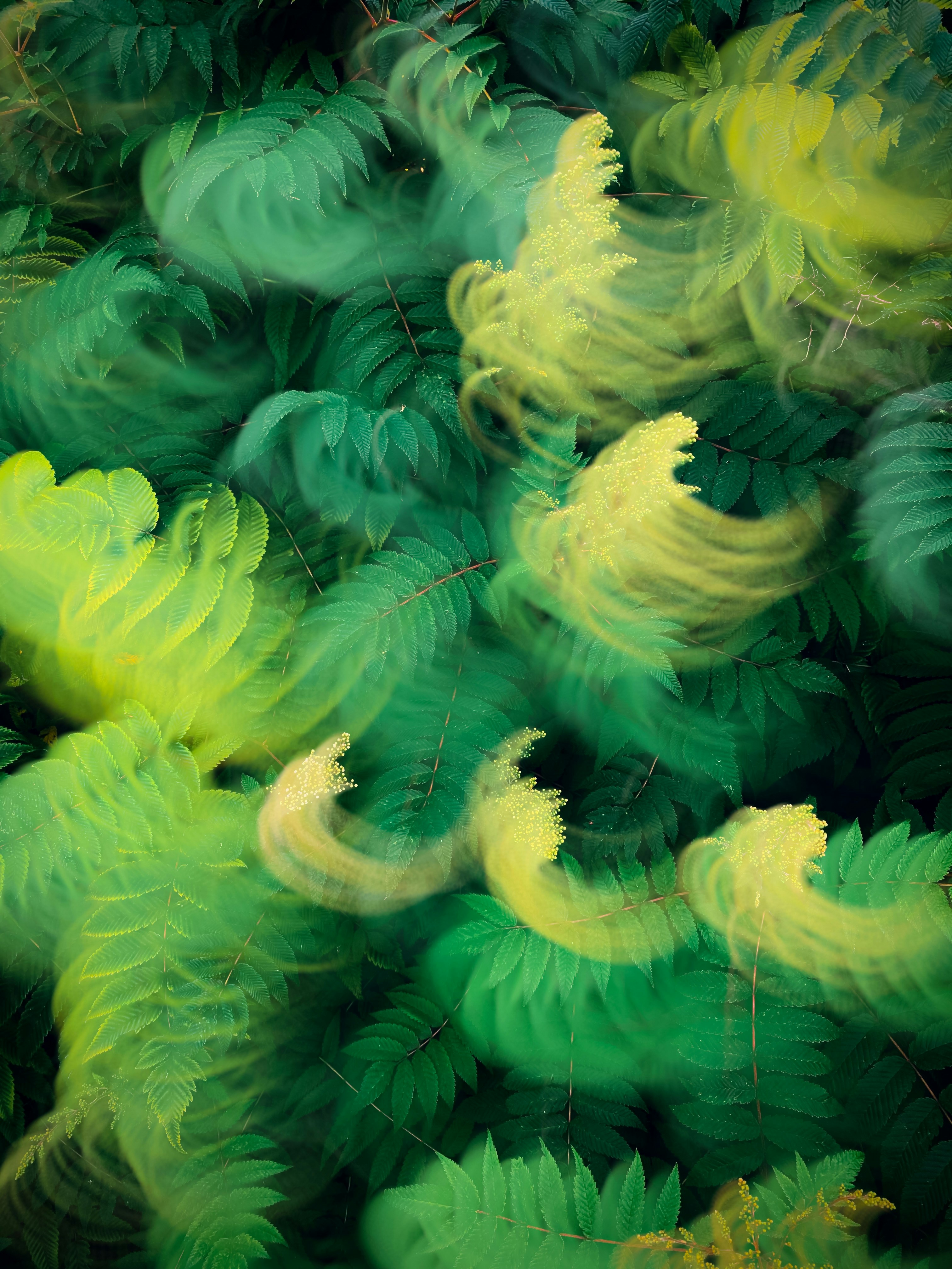 Structuring Capital Solutions For Regional Growth