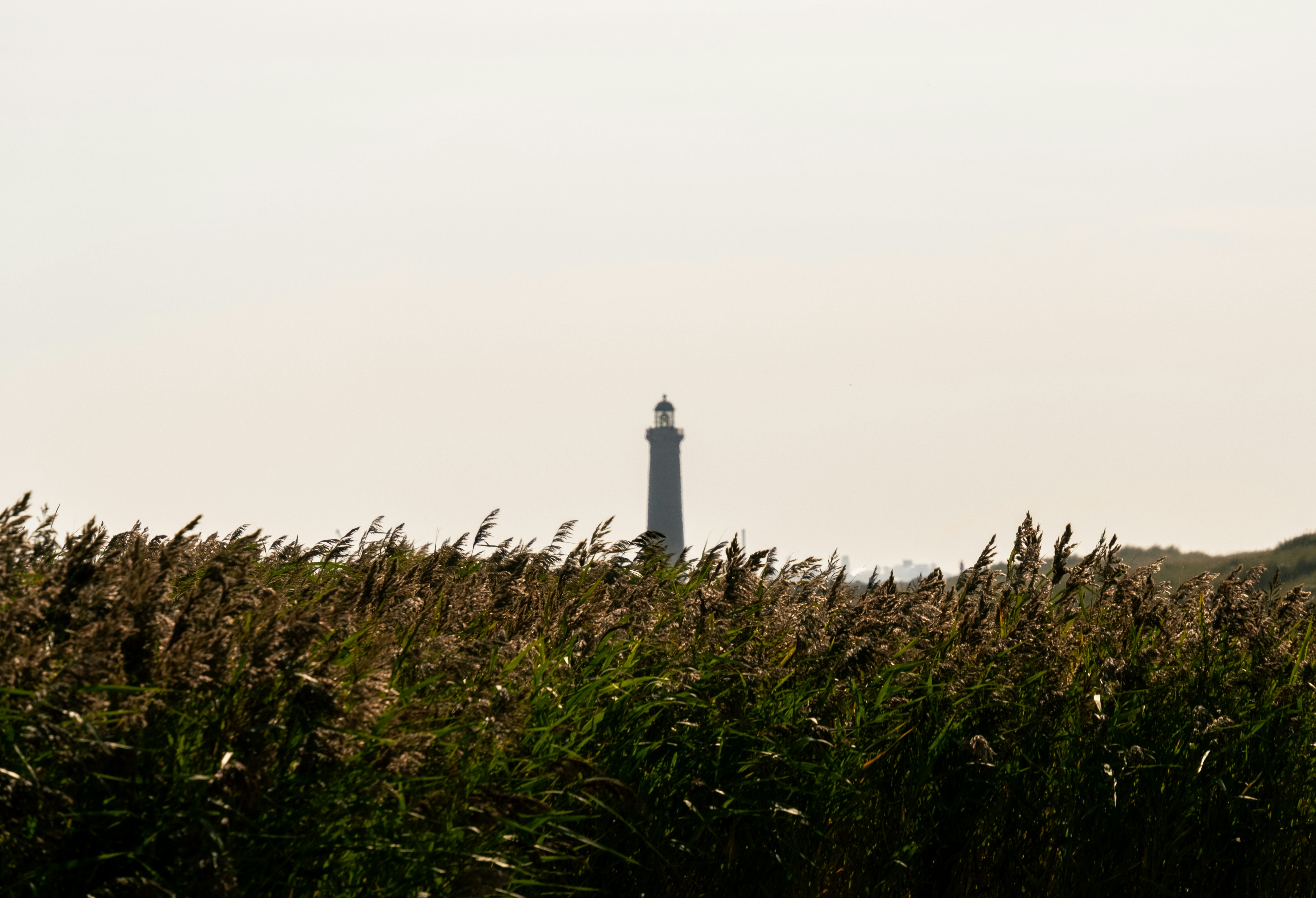 Photo by julia_oberhauser