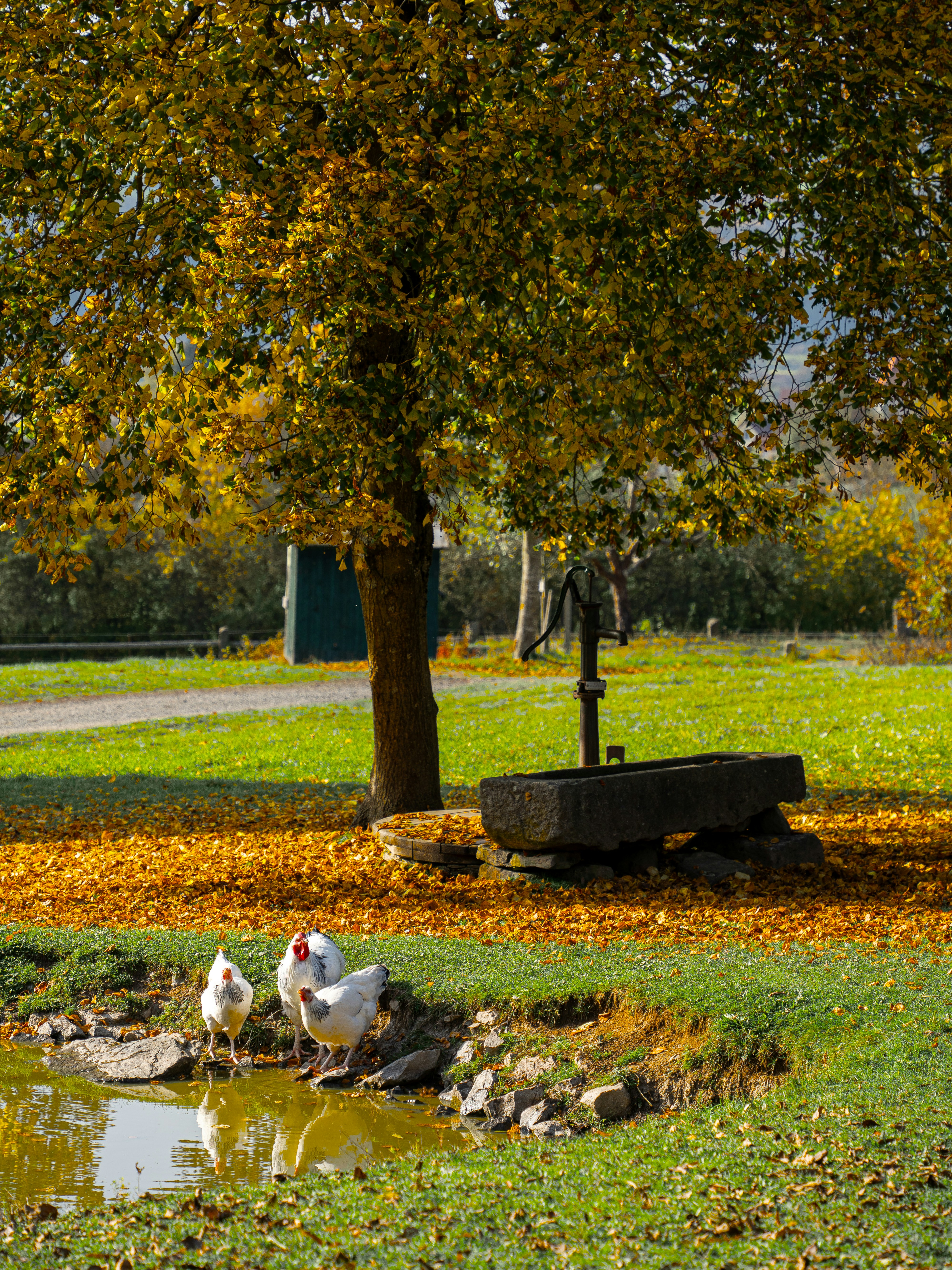 Photo by magictravel