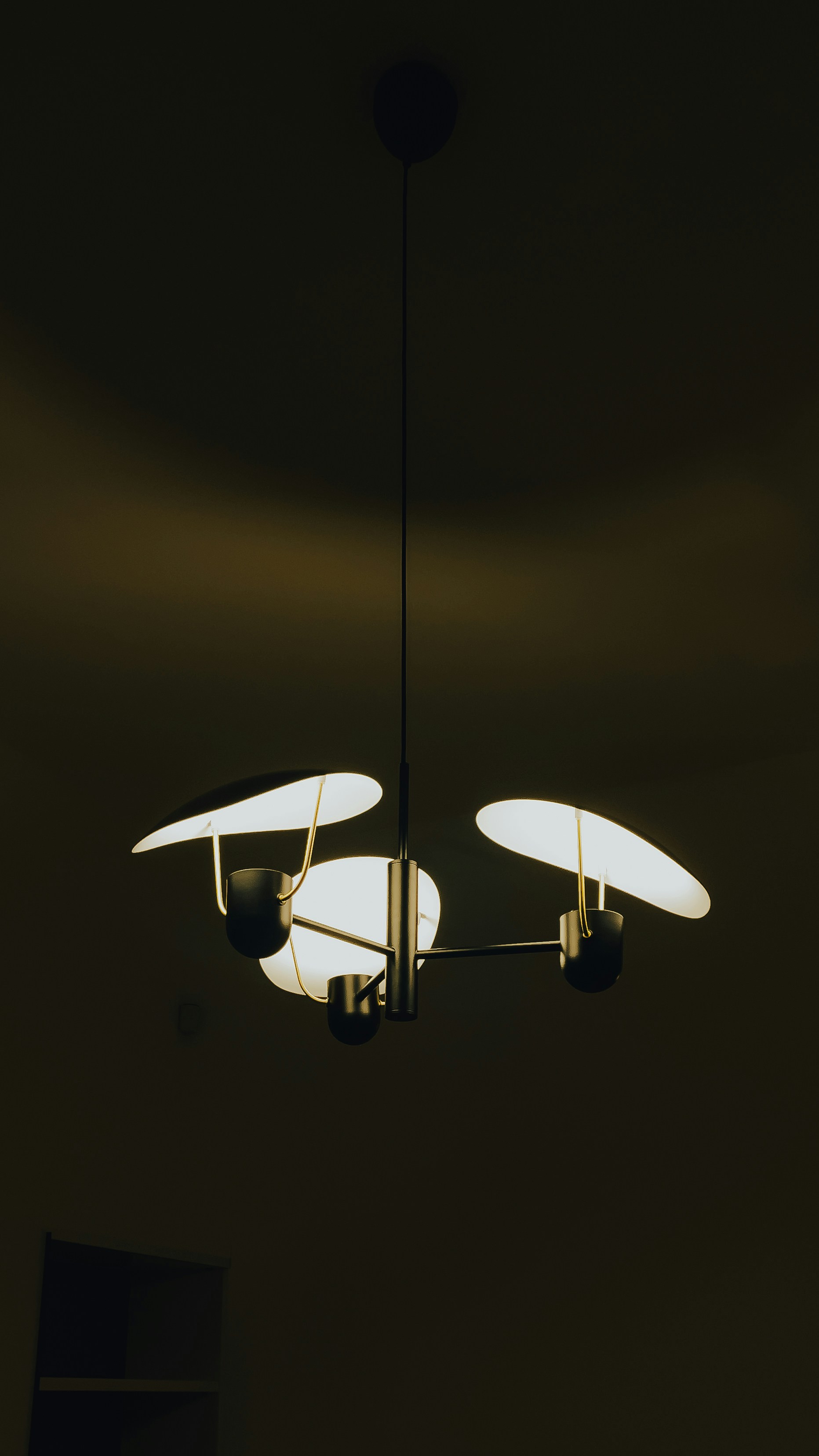 Photo by francesco_liotti