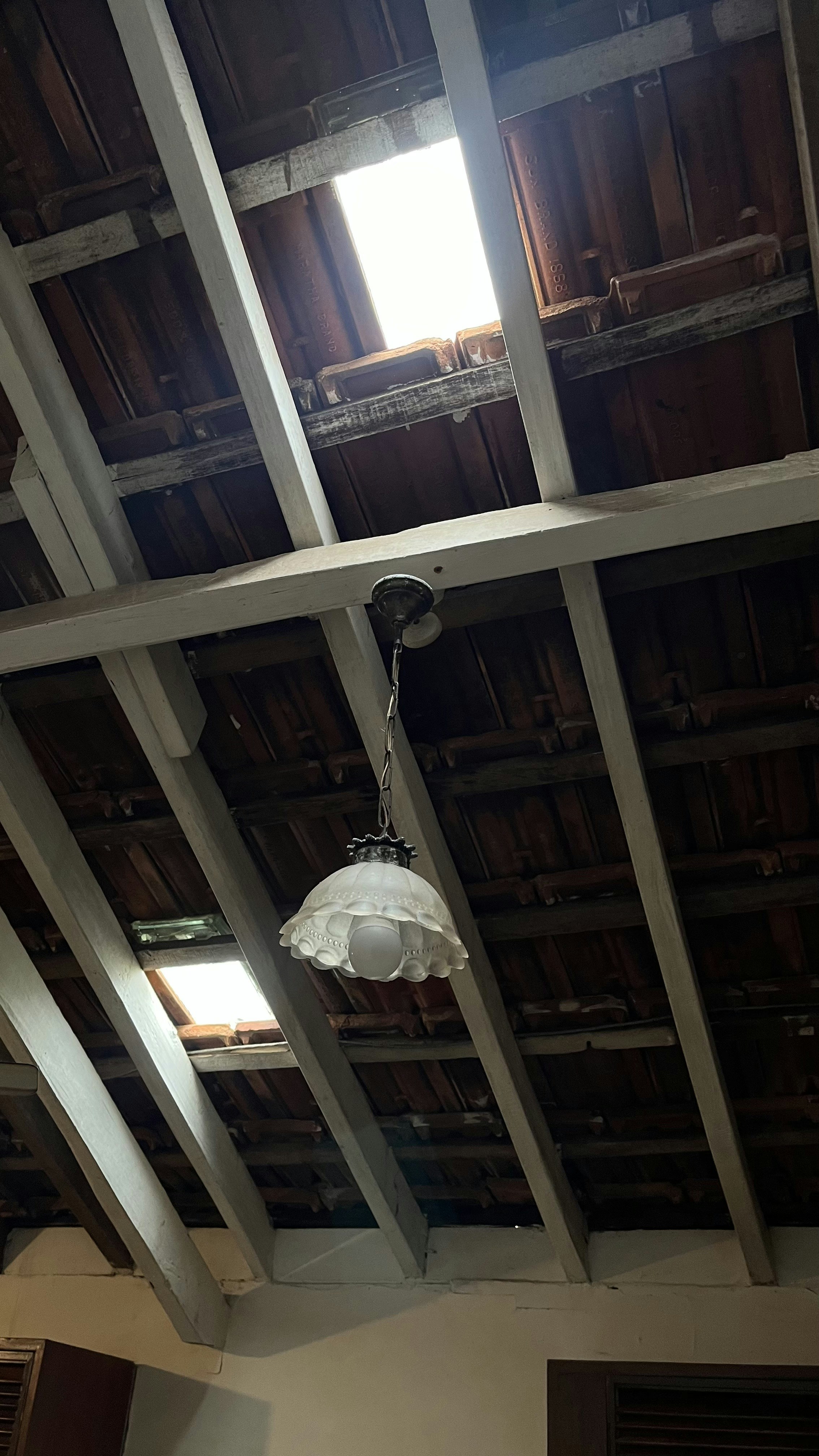 Photo by Vishwasa Navada K