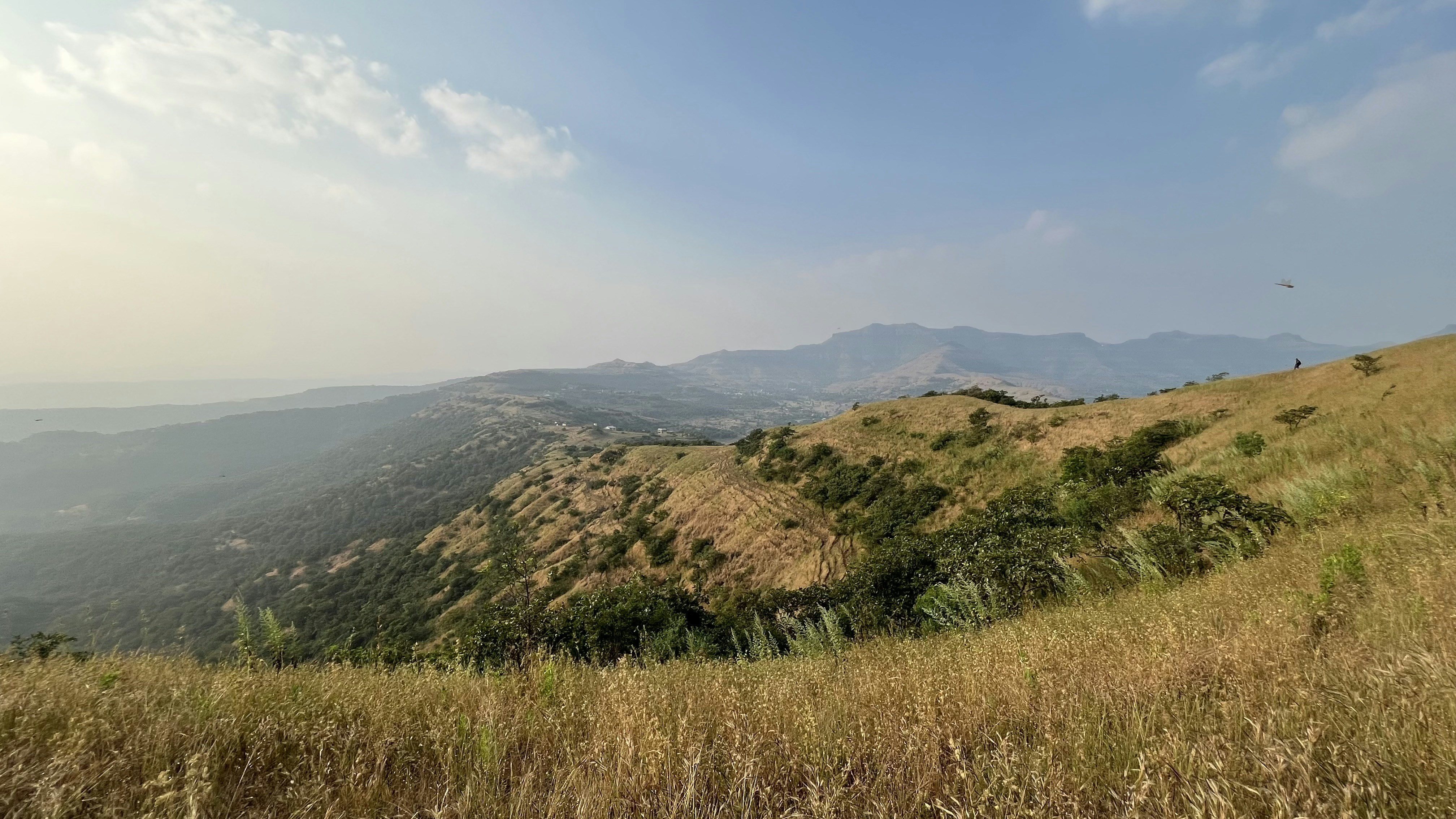 Photo by Vishwasa Navada K