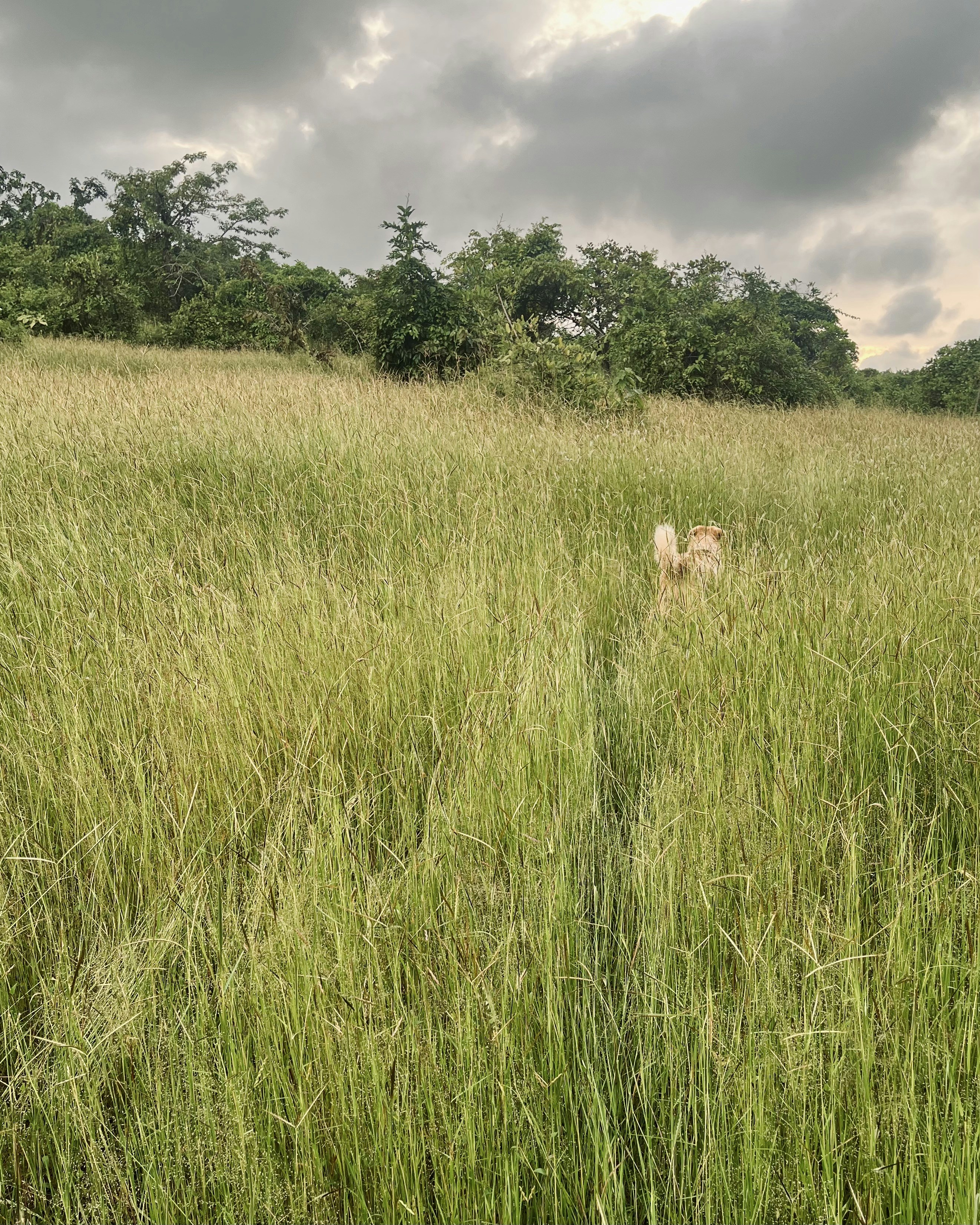 Photo by Vishwasa Navada K