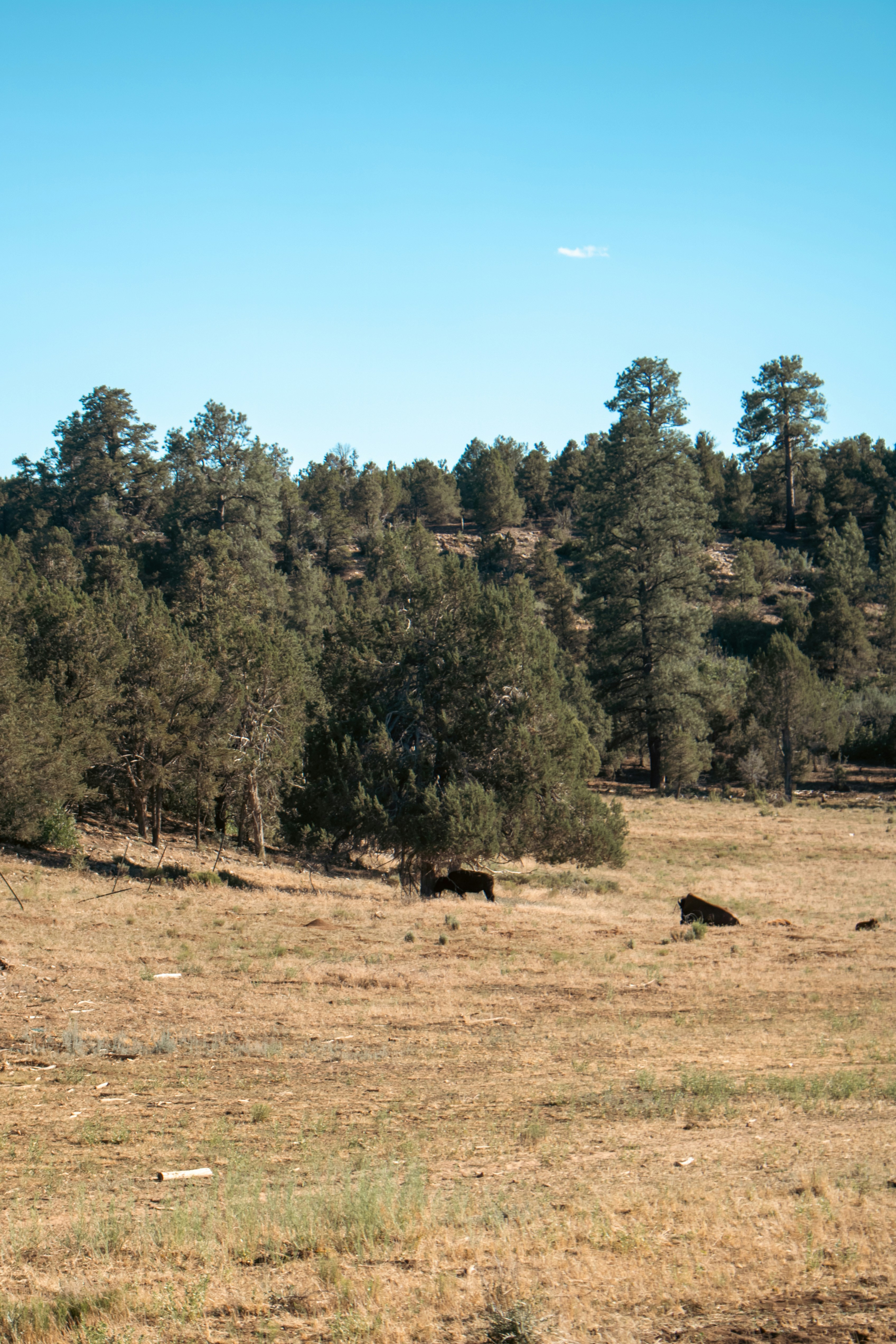 Photo by zoshuacolah