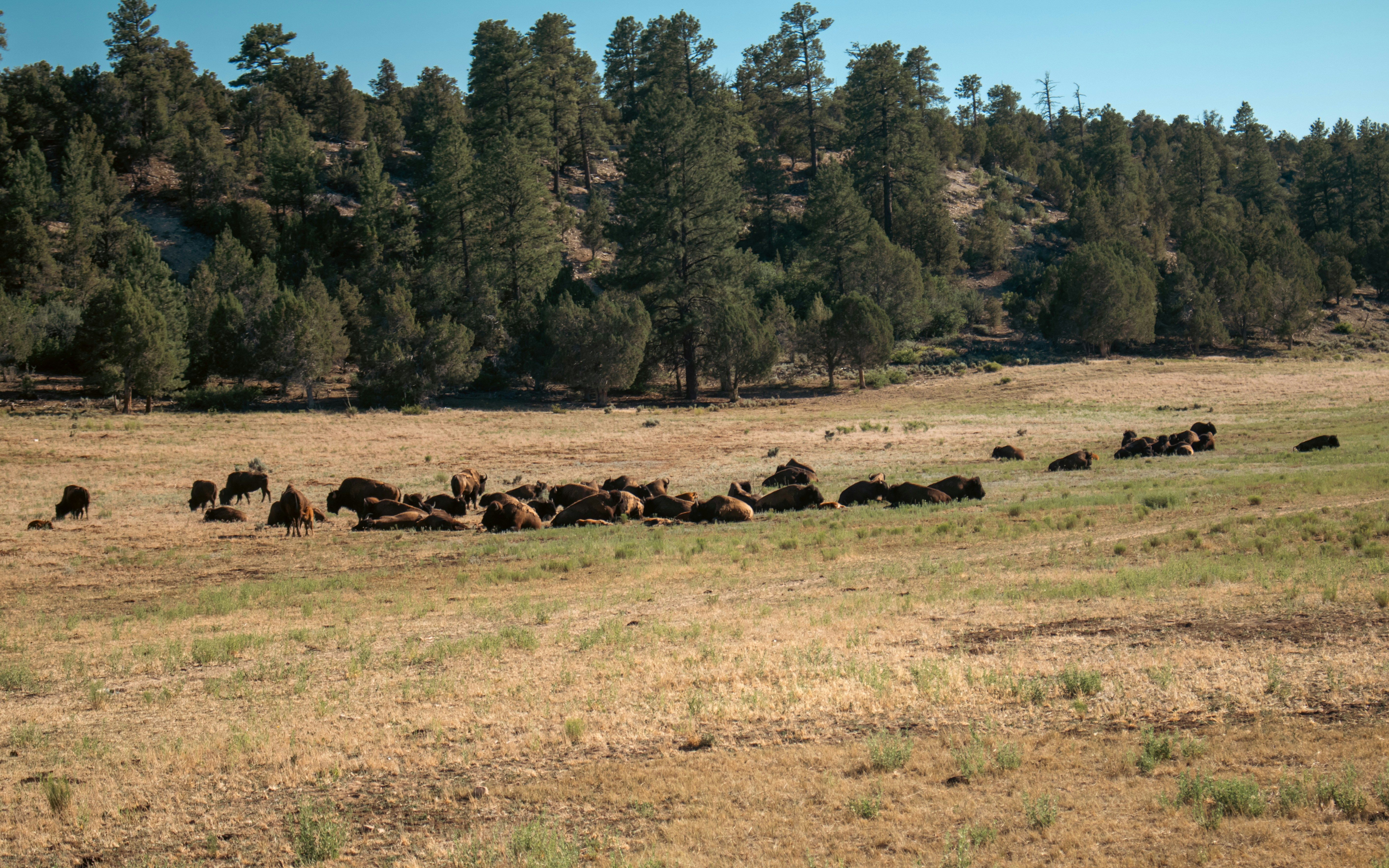 Photo by zoshuacolah