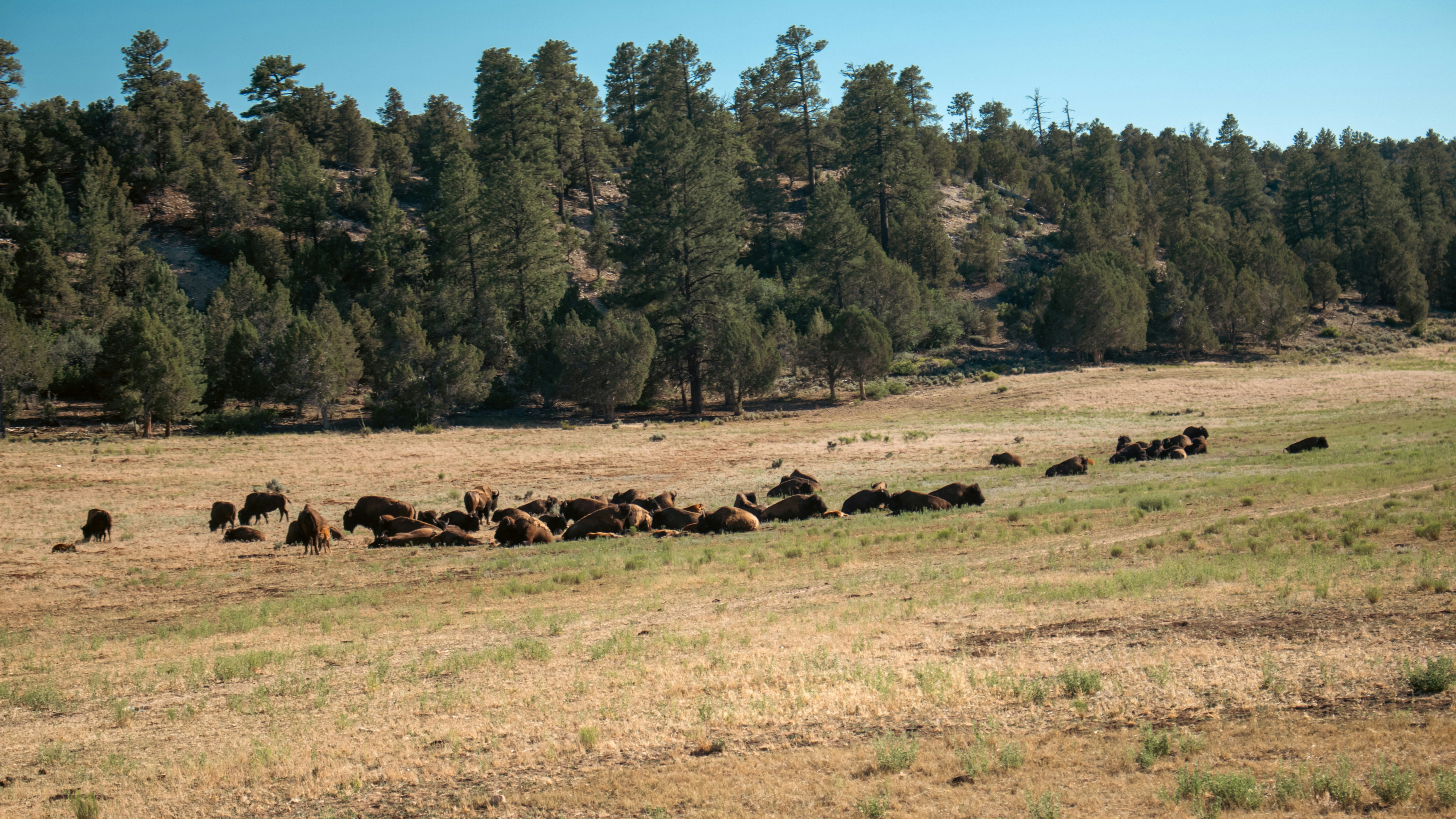 Photo by zoshuacolah