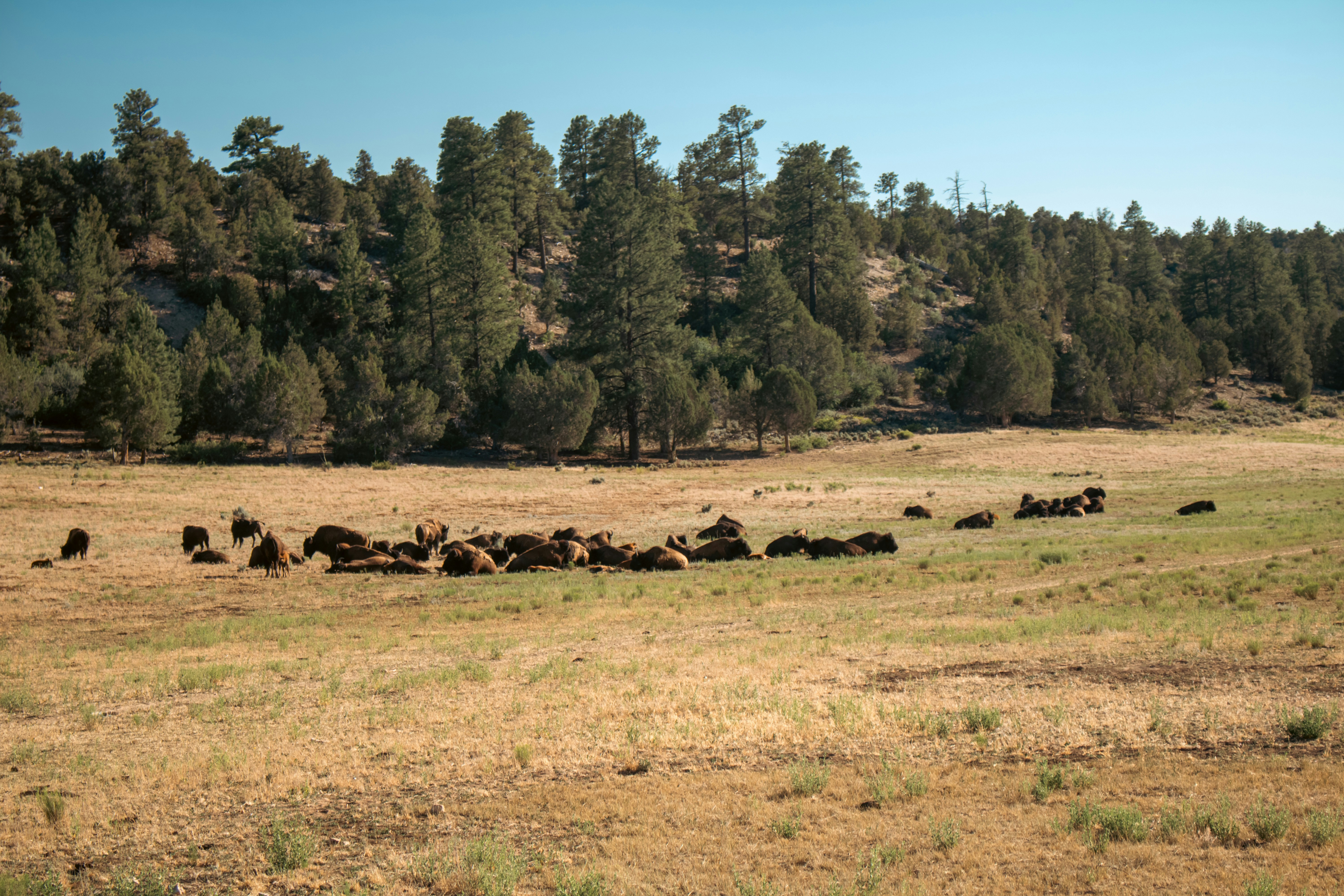 Is Utah A High Income State?