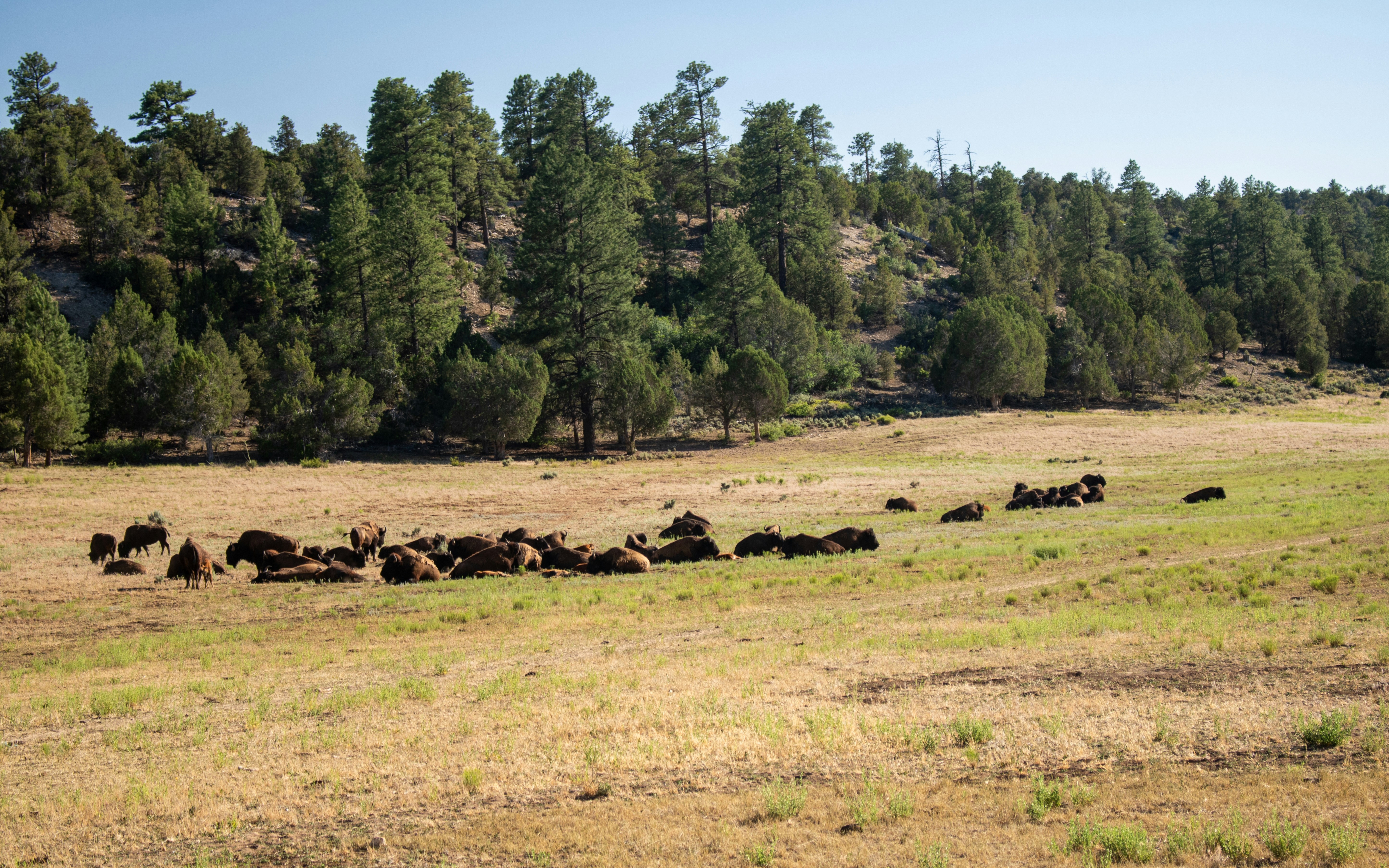 Photo by zoshuacolah