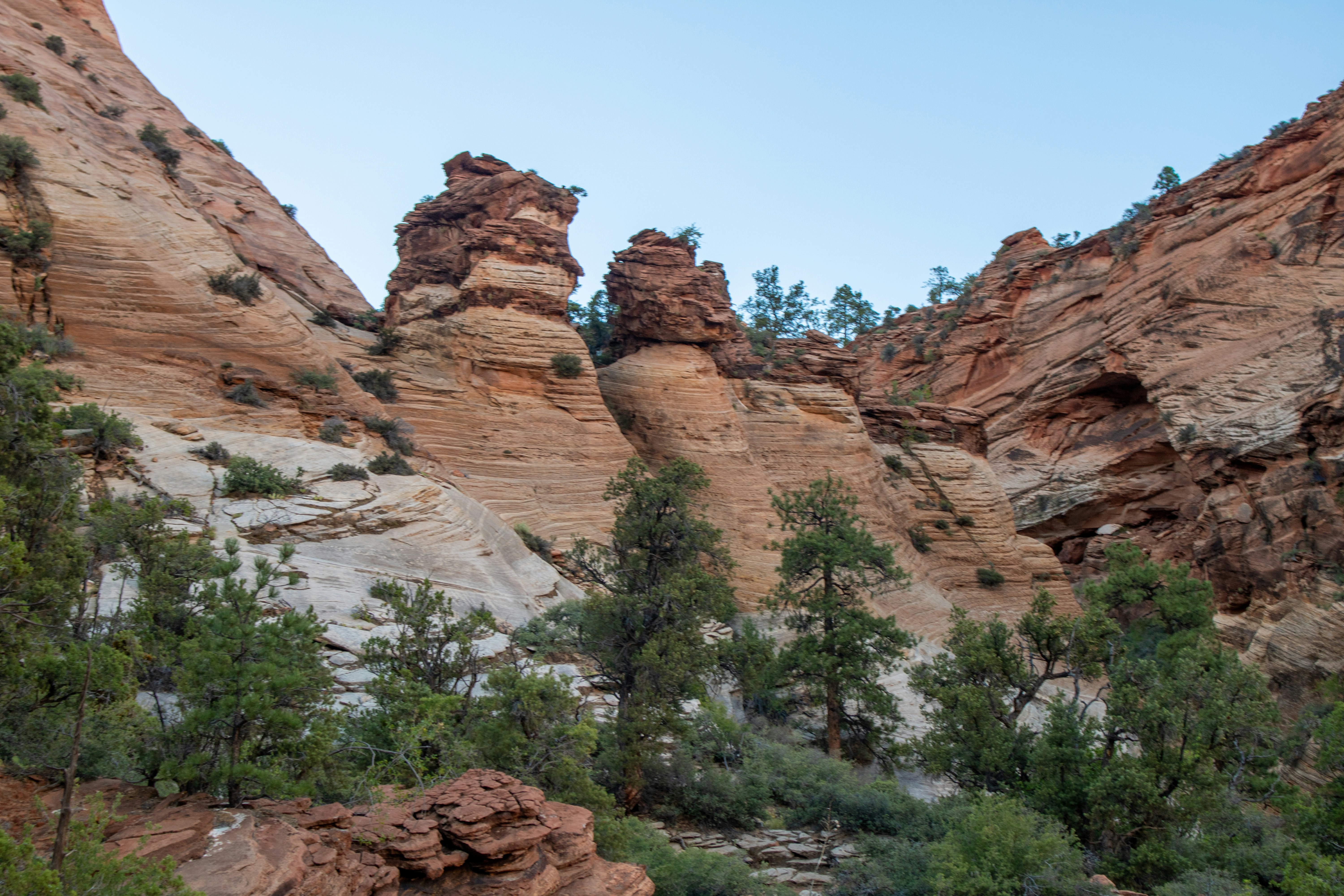 Photo by zoshuacolah