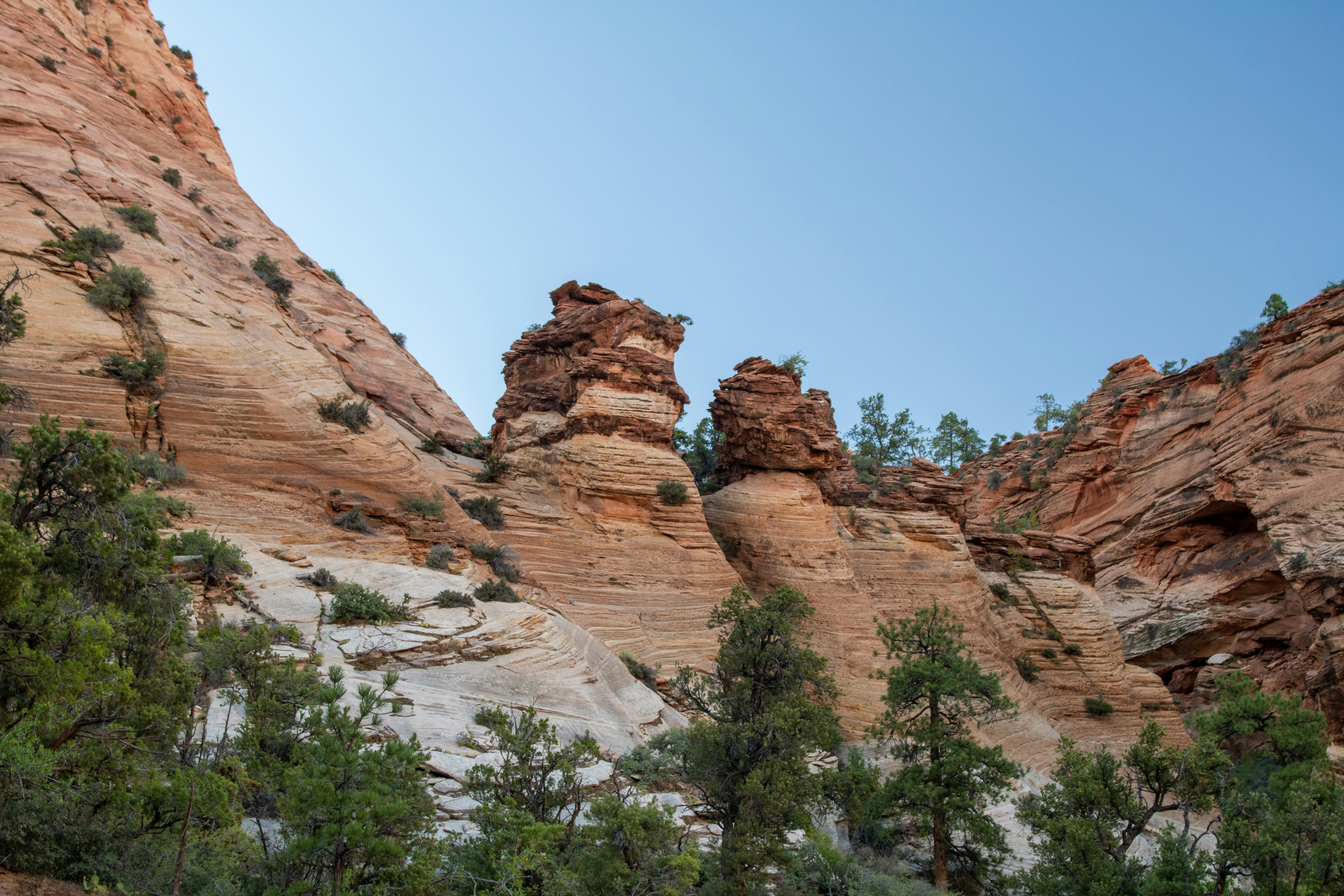 Photo by zoshuacolah